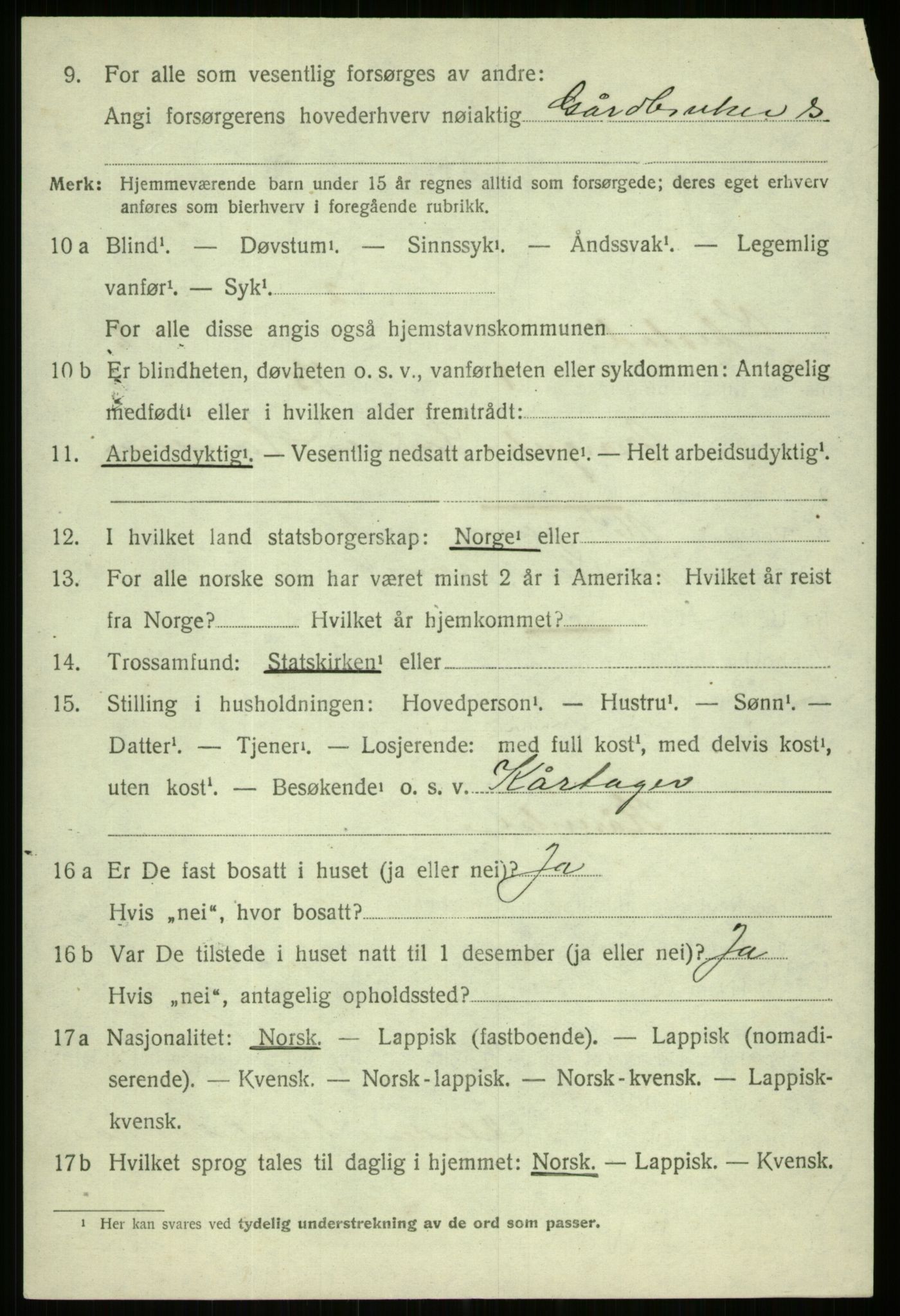 SATØ, 1920 census for Ibestad, 1920, p. 6996