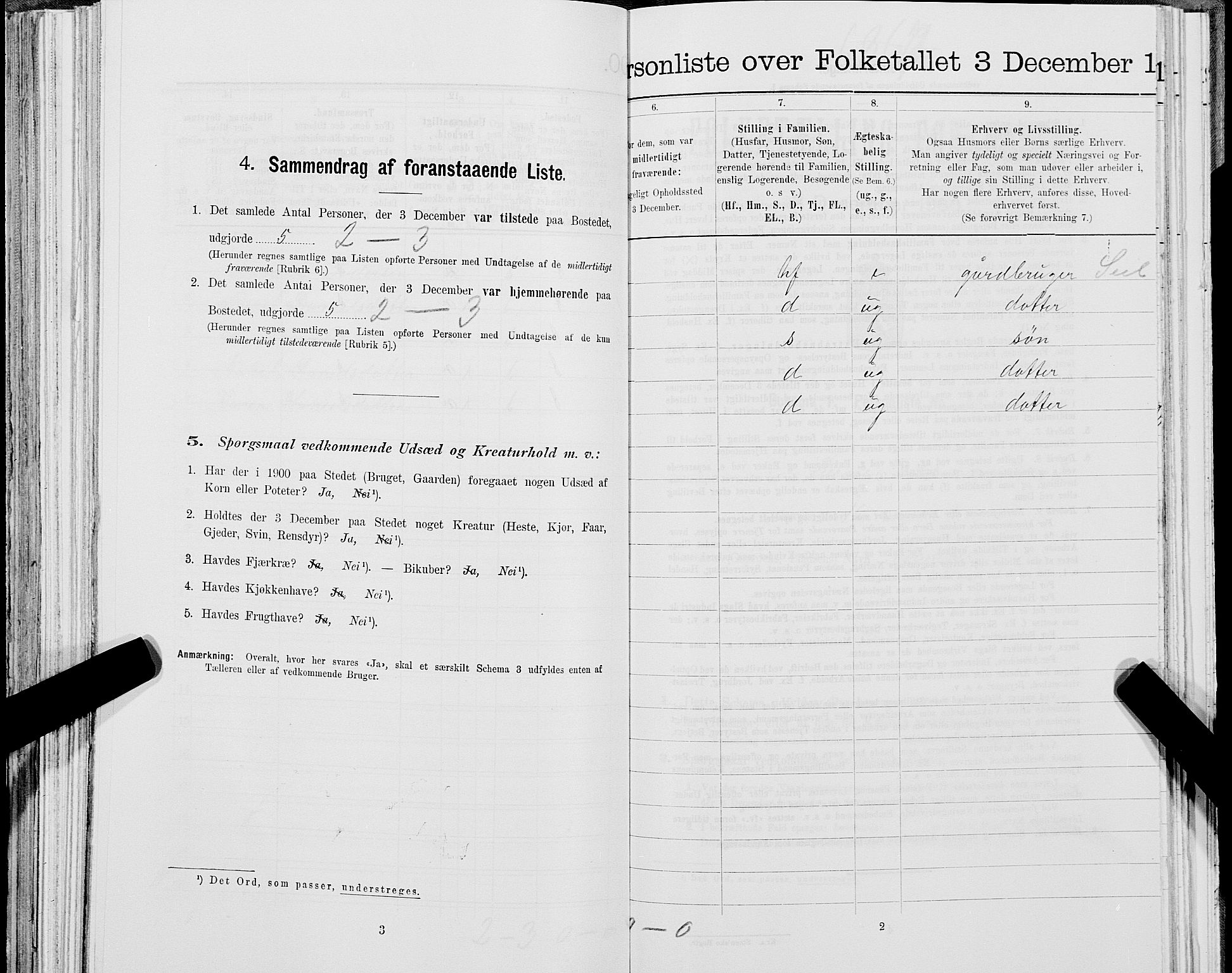 SAT, 1900 census for Lierne, 1900, p. 295