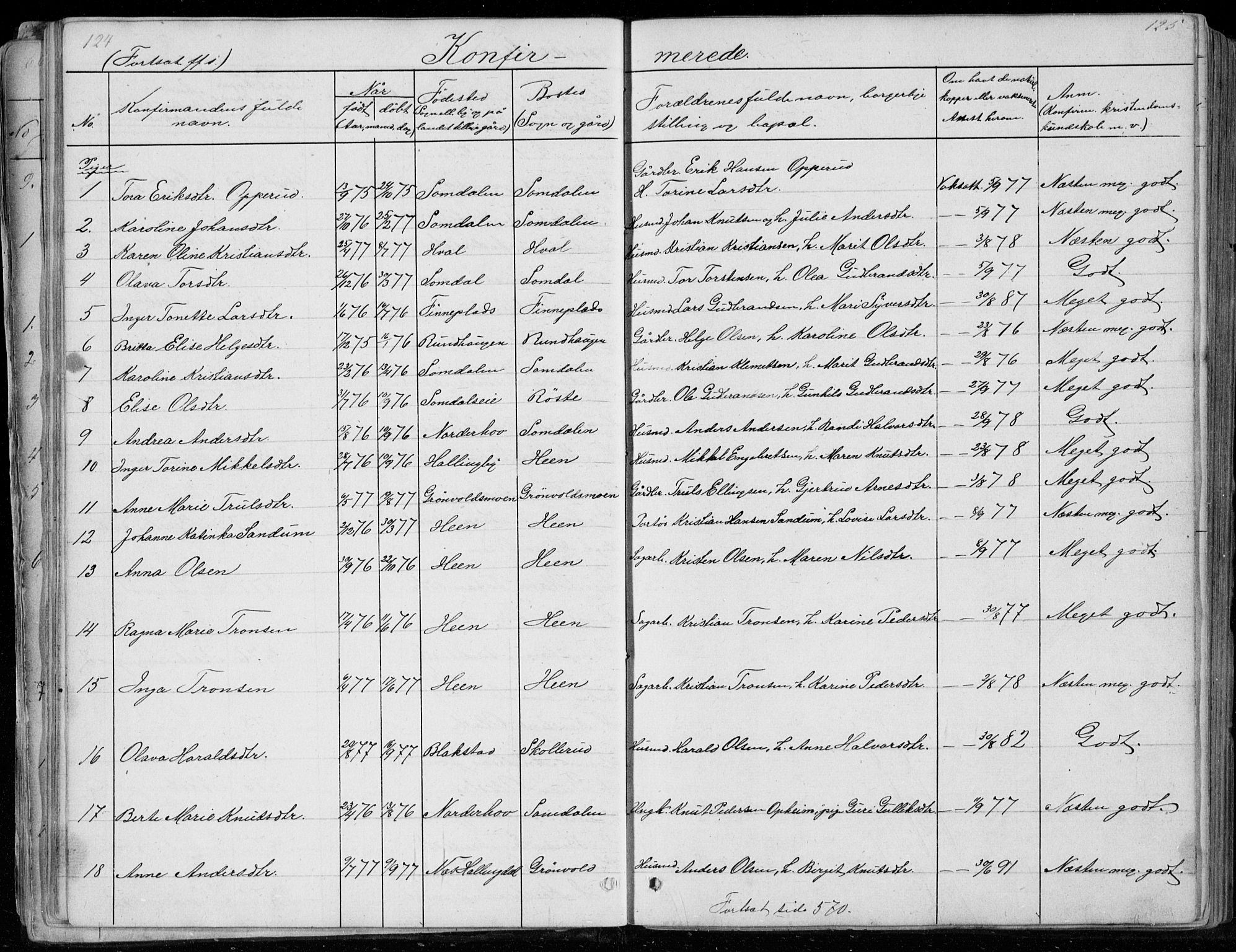 Ådal kirkebøker, AV/SAKO-A-248/G/Gc/L0001: Parish register (copy) no. III 1, 1862-1898, p. 124-125