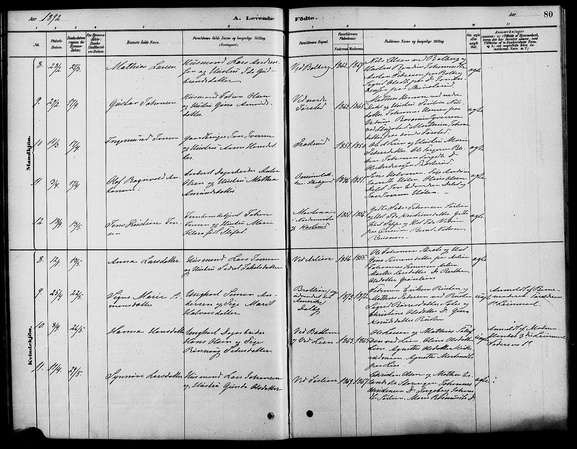 Fåberg prestekontor, AV/SAH-PREST-086/H/Ha/Haa/L0008: Parish register (official) no. 8, 1879-1898, p. 80