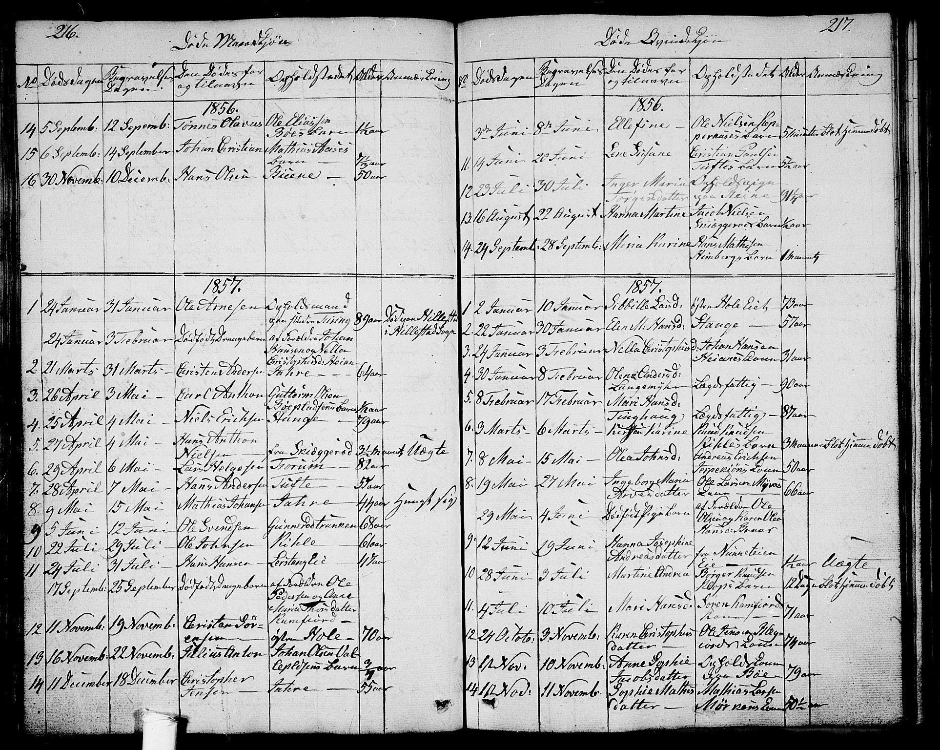 Ramnes kirkebøker, SAKO/A-314/G/Ga/L0002: Parish register (copy) no. I 2, 1848-1870, p. 216-217