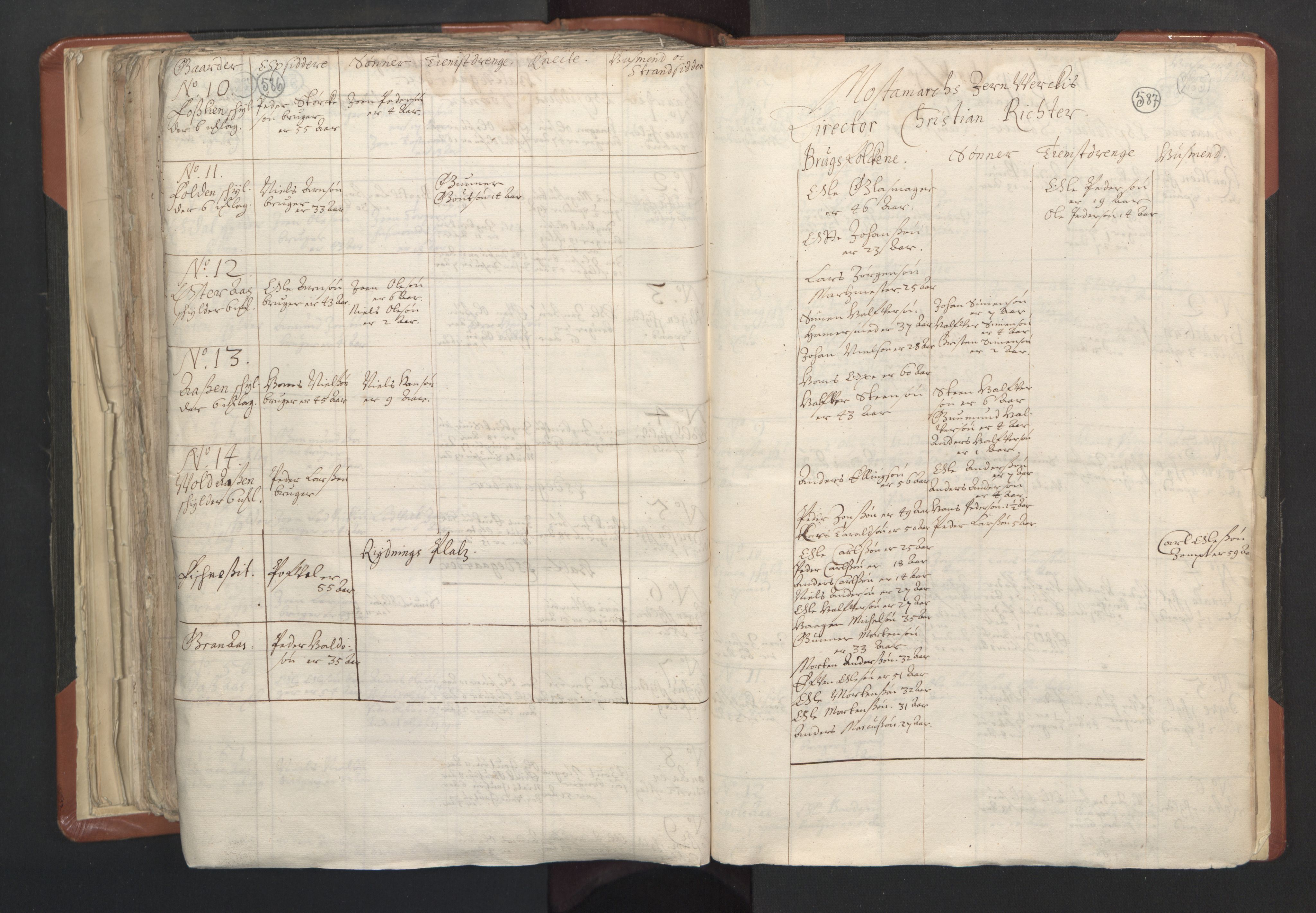 RA, Vicar's Census 1664-1666, no. 31: Dalane deanery, 1664-1666, p. 586-587