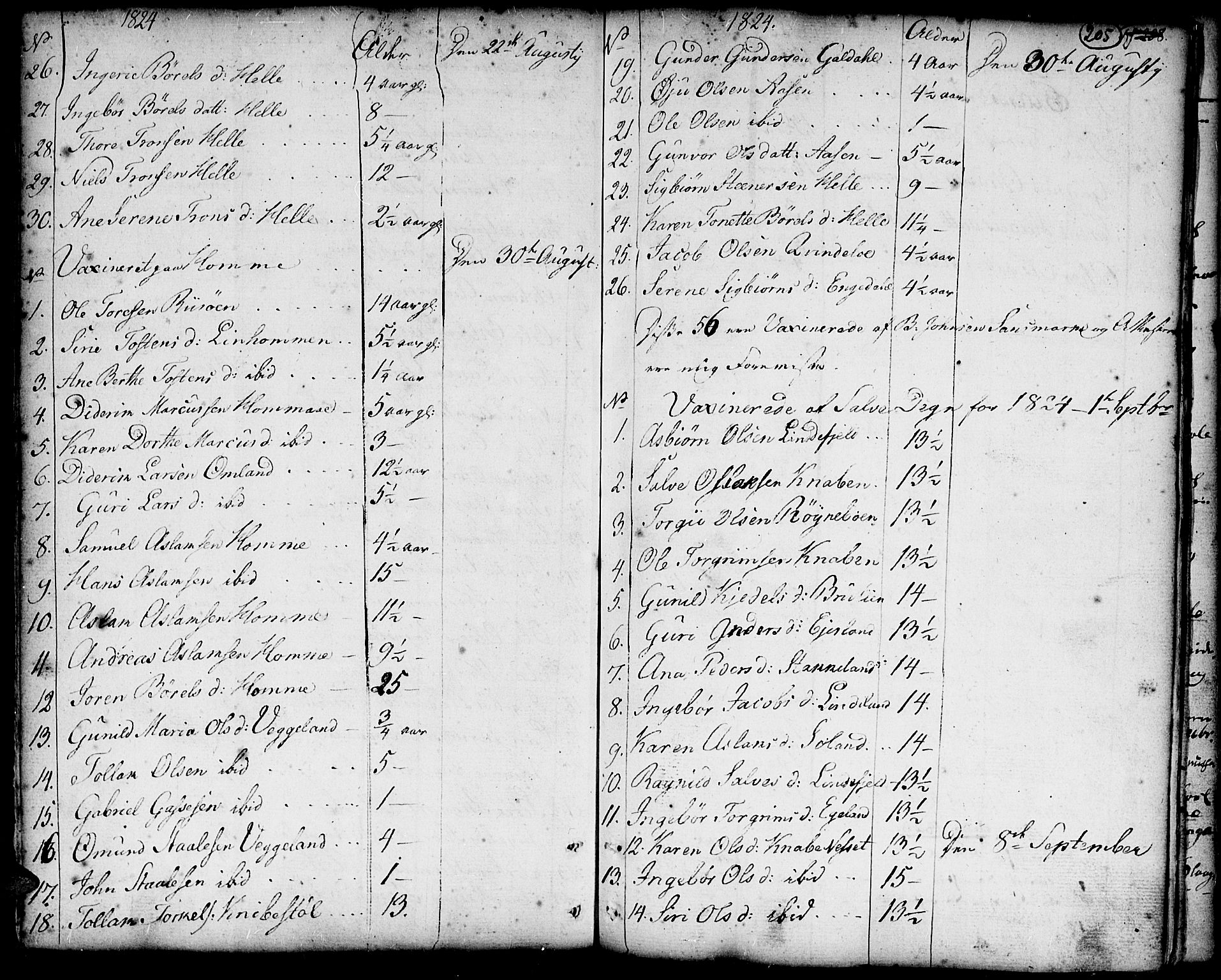 Hægebostad sokneprestkontor, SAK/1111-0024/F/Fa/Faa/L0001: Parish register (official) no. A 1 /3, 1760-1826, p. 205