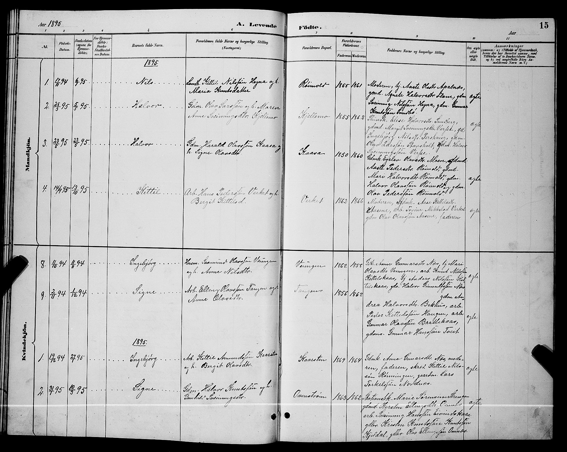 Lunde kirkebøker, SAKO/A-282/G/Gb/L0002: Parish register (copy) no. II 2, 1888-1895, p. 15