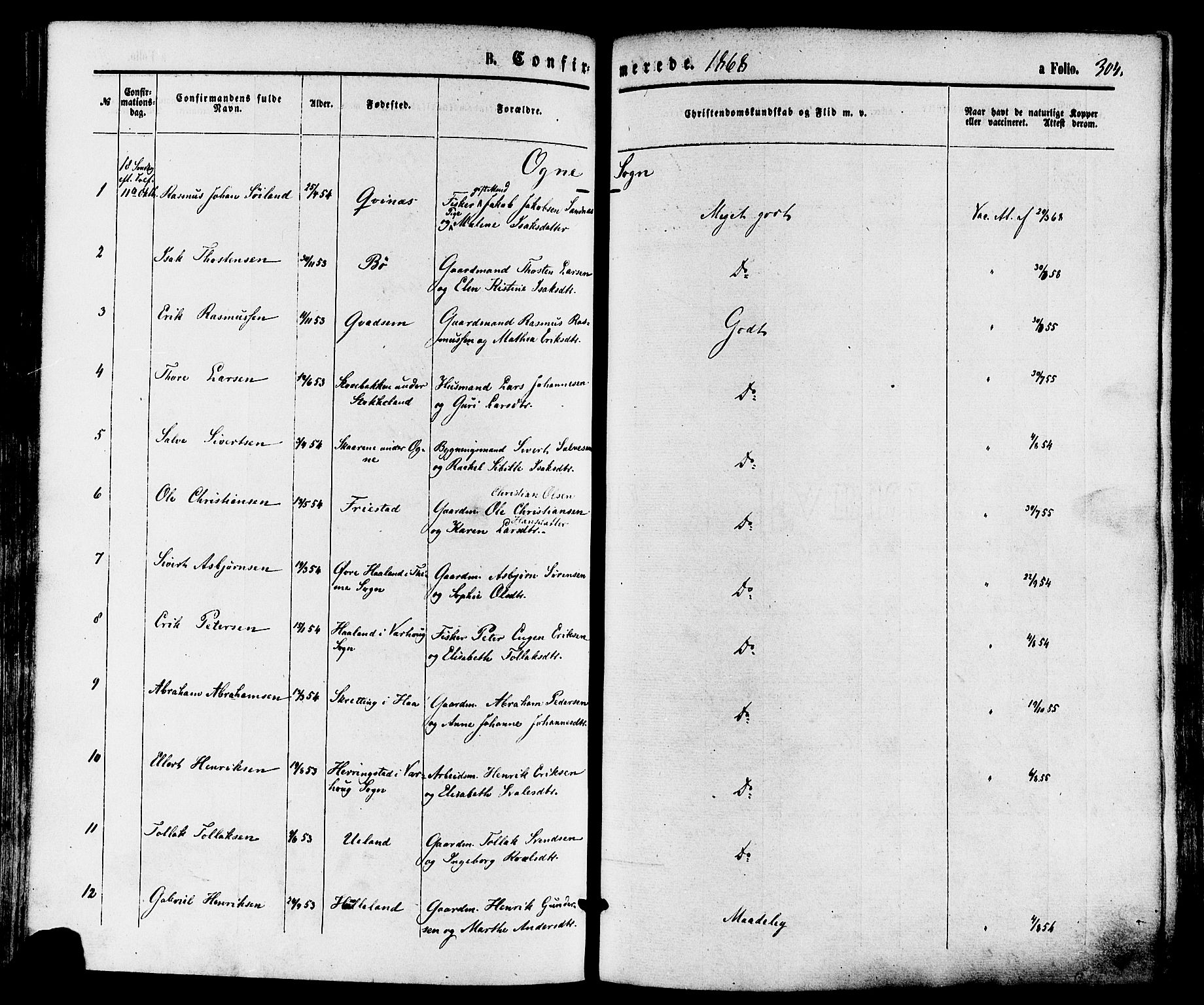 Eigersund sokneprestkontor, AV/SAST-A-101807/S08/L0014: Parish register (official) no. A 13, 1866-1878, p. 304