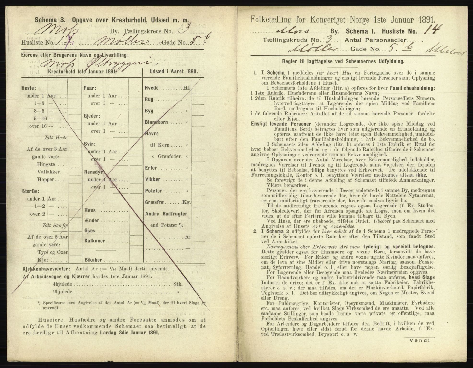 RA, 1891 census for 0104 Moss, 1891, p. 276