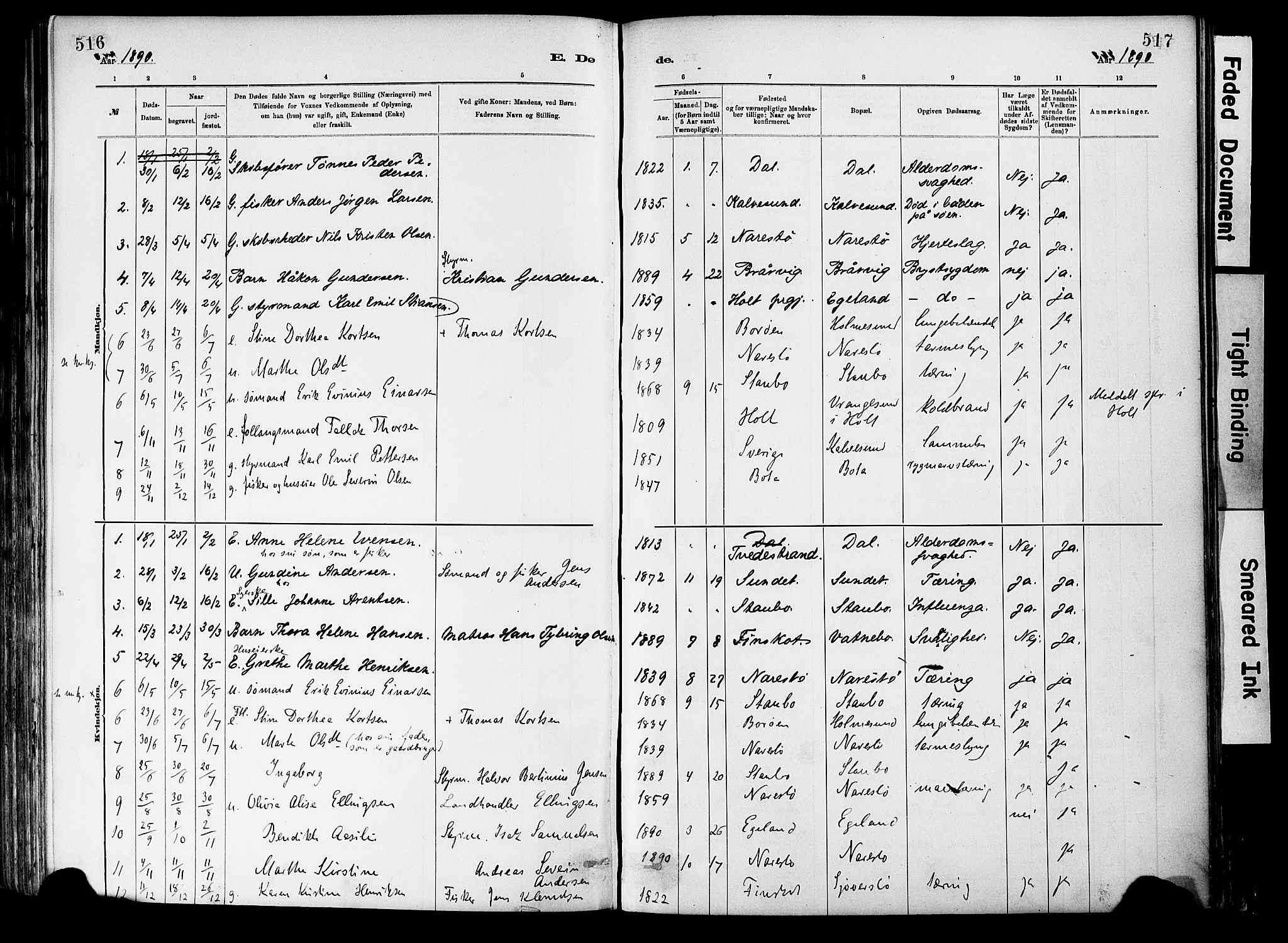 Dypvåg sokneprestkontor, SAK/1111-0007/F/Fa/Fab/L0001: Parish register (official) no. A 1, 1885-1912, p. 516-517