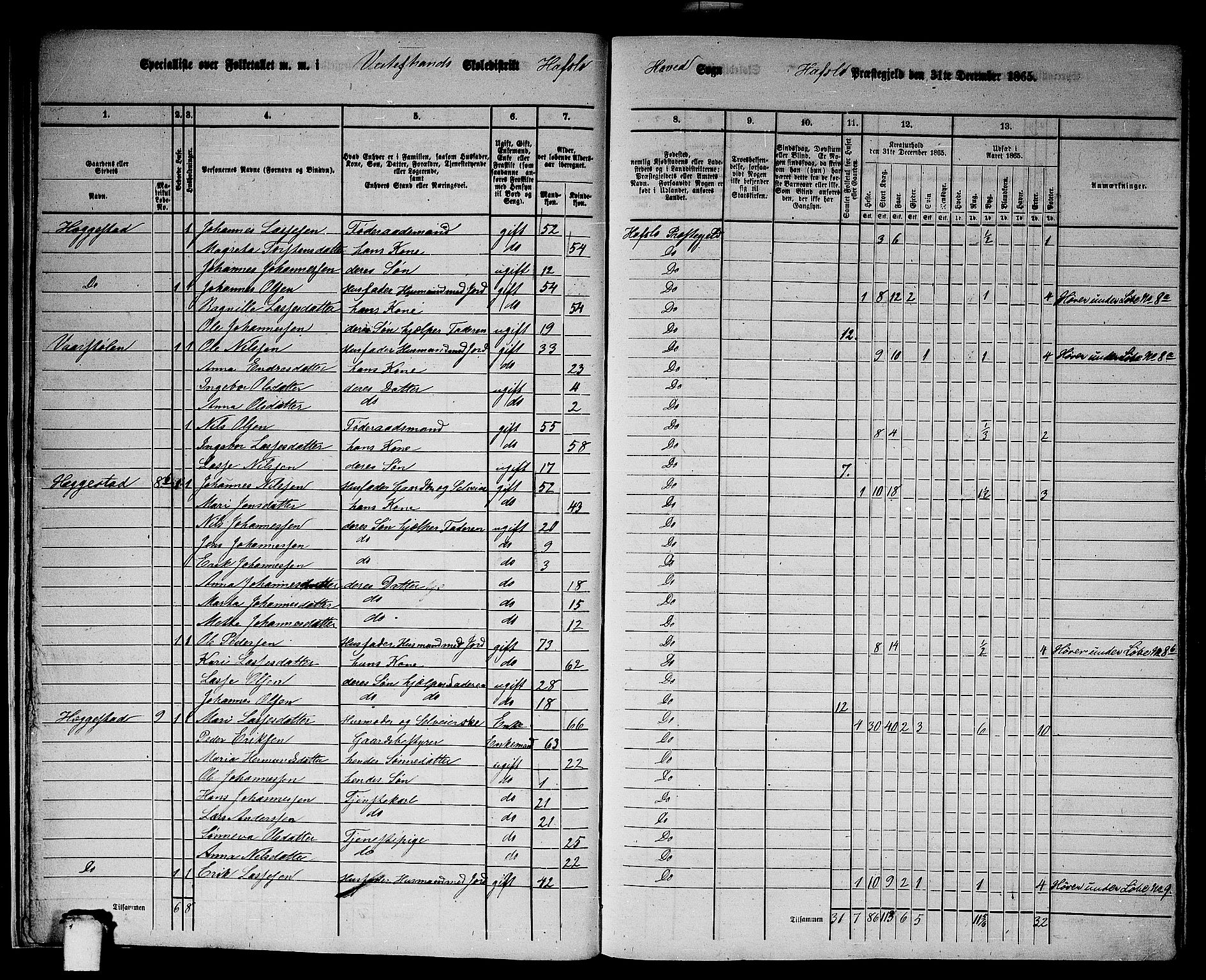 RA, 1865 census for Hafslo, 1865, p. 13