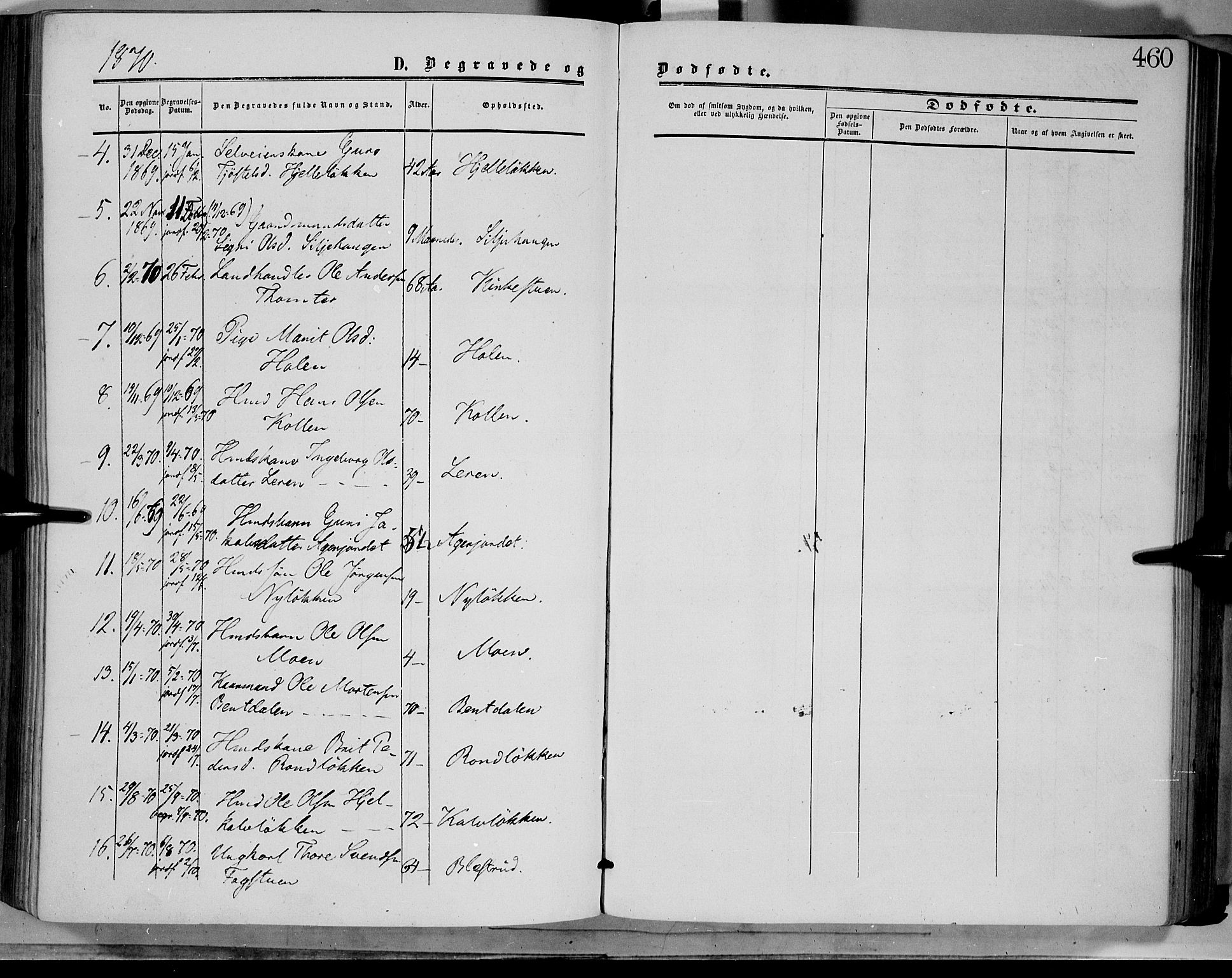 Dovre prestekontor, SAH/PREST-066/H/Ha/Haa/L0001: Parish register (official) no. 1, 1854-1878, p. 460