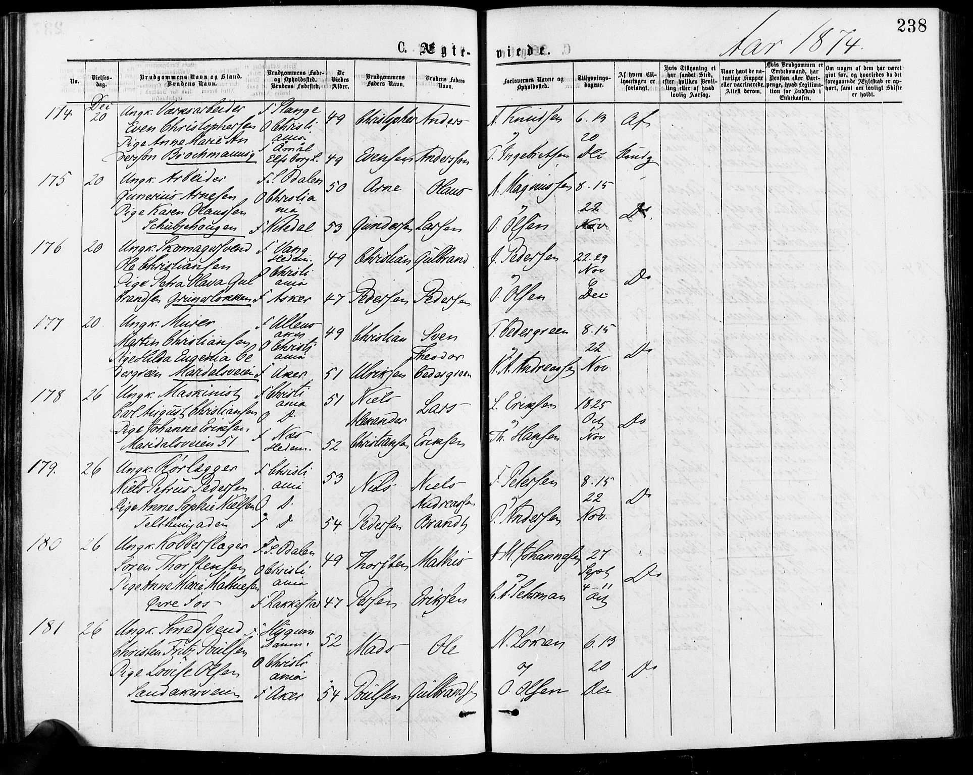 Gamle Aker prestekontor Kirkebøker, AV/SAO-A-10617a/F/L0005: Parish register (official) no. 5, 1873-1881, p. 238