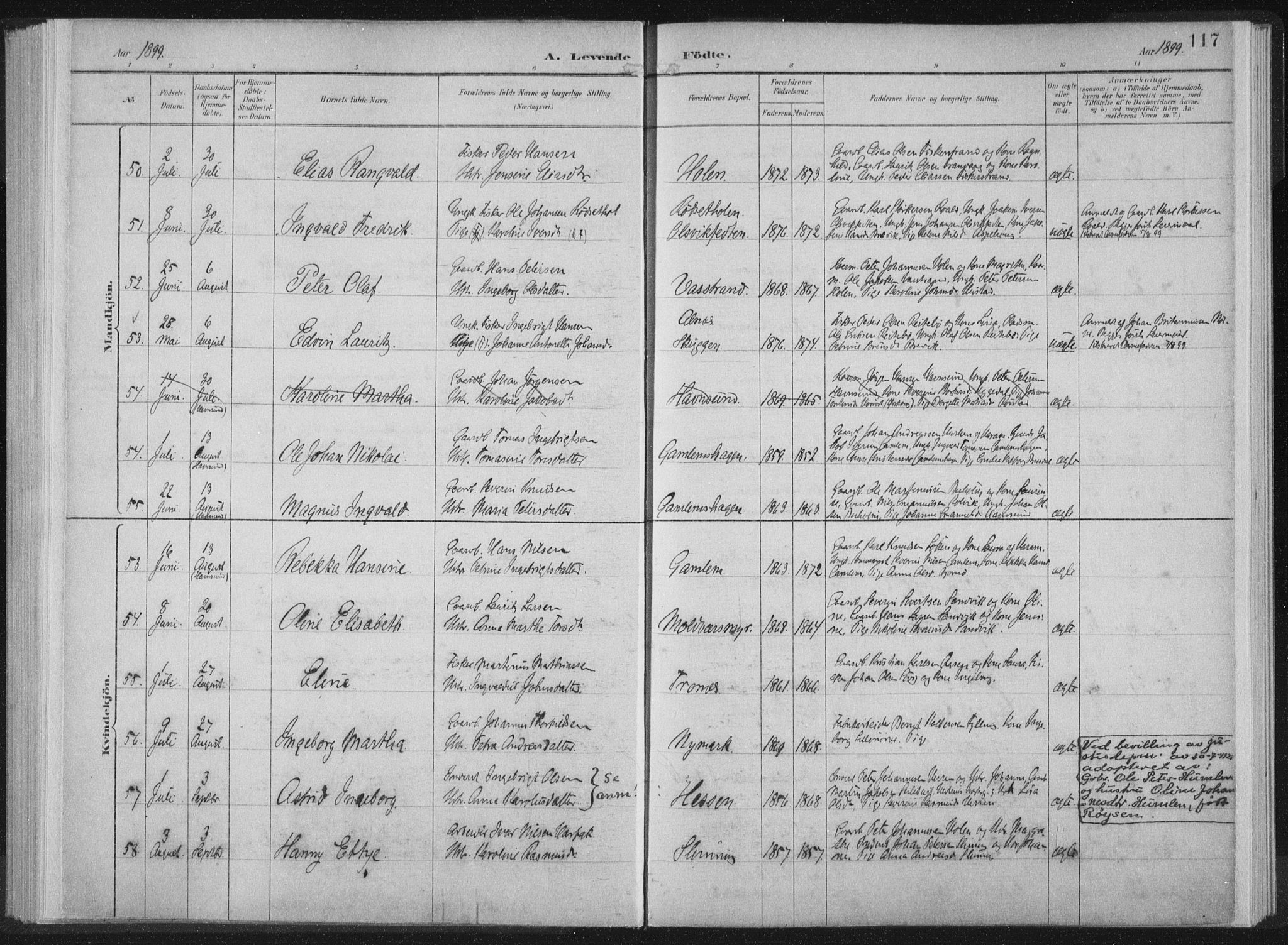 Ministerialprotokoller, klokkerbøker og fødselsregistre - Møre og Romsdal, AV/SAT-A-1454/528/L0405: Parish register (official) no. 528A14, 1891-1906, p. 117