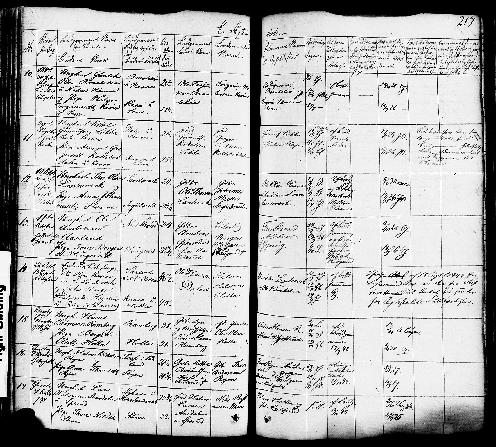 Heddal kirkebøker, SAKO/A-268/F/Fa/L0006: Parish register (official) no. I 6, 1837-1854, p. 217