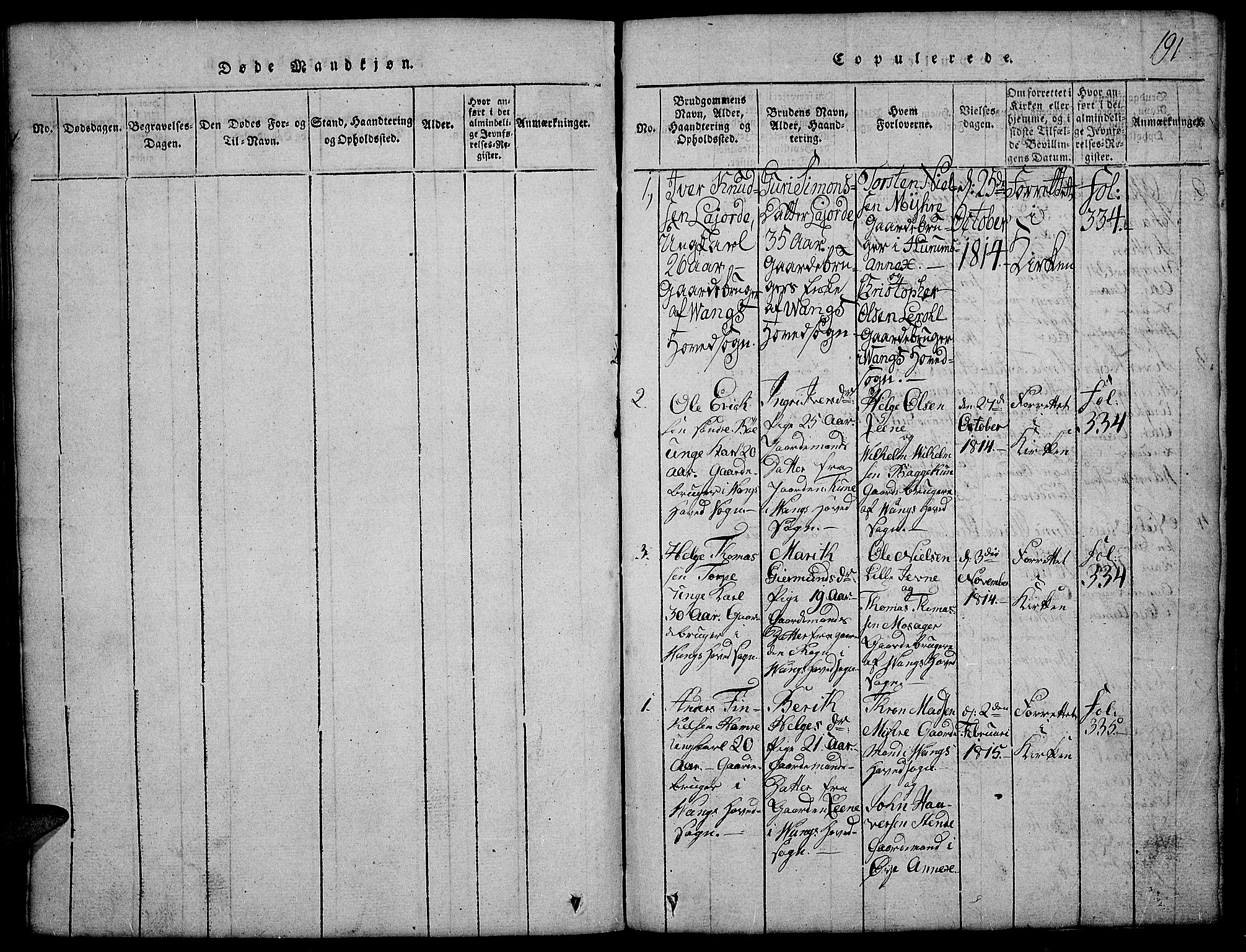Vang prestekontor, Valdres, SAH/PREST-140/H/Hb/L0002: Parish register (copy) no. 2, 1814-1889, p. 191
