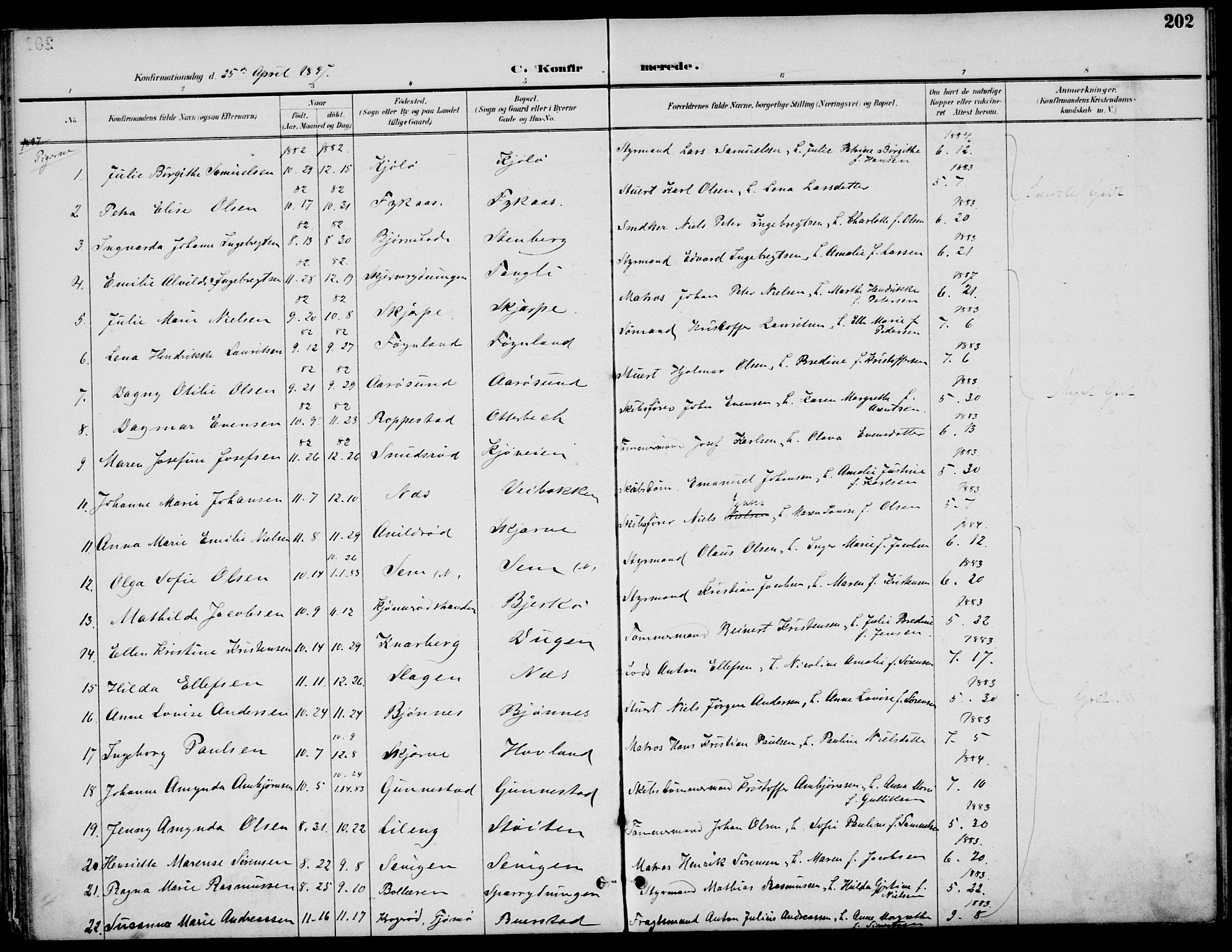 Nøtterøy kirkebøker, AV/SAKO-A-354/F/Fa/L0009: Parish register (official) no. I 9, 1894-1907, p. 202