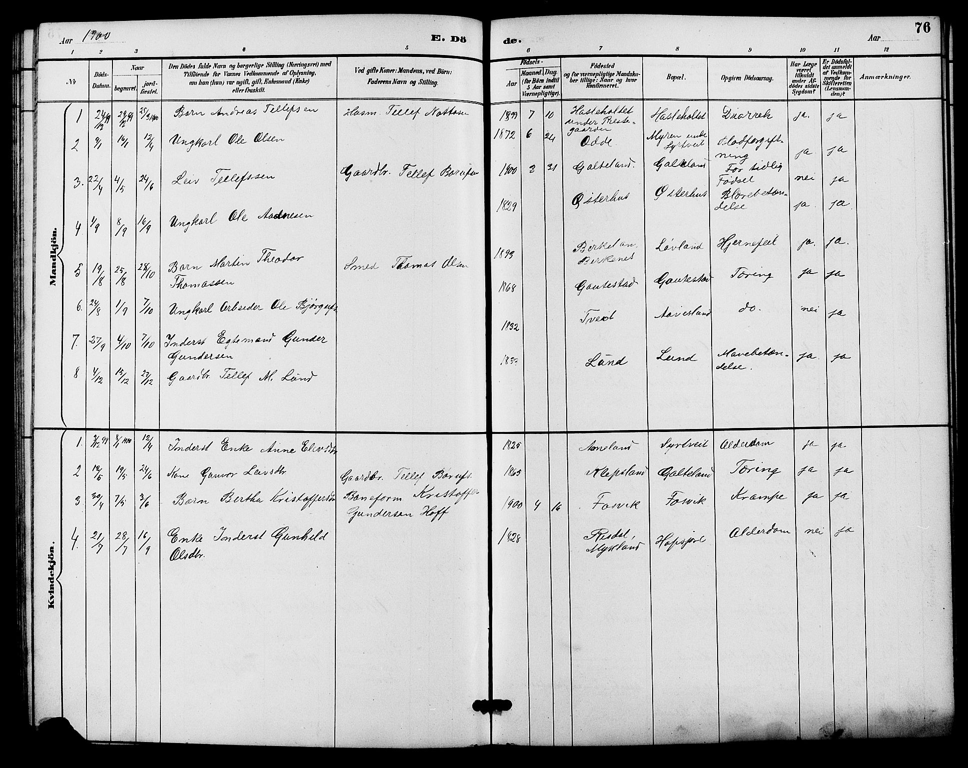 Evje sokneprestkontor, SAK/1111-0008/F/Fb/Fba/L0003: Parish register (copy) no. B 3, 1888-1903, p. 76