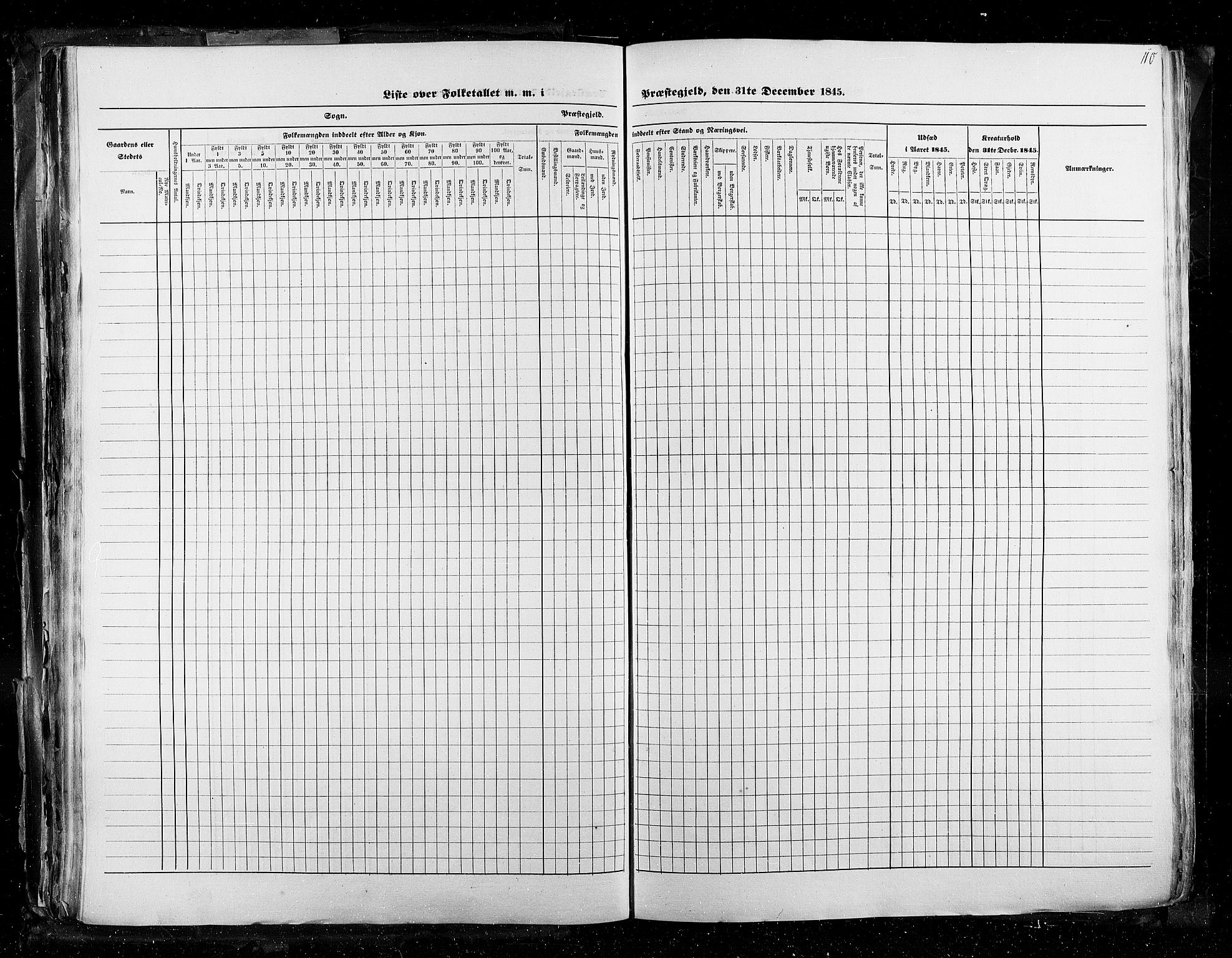 RA, Census 1845, vol. 3: Hedemarken amt og Kristians amt, 1845, p. 110