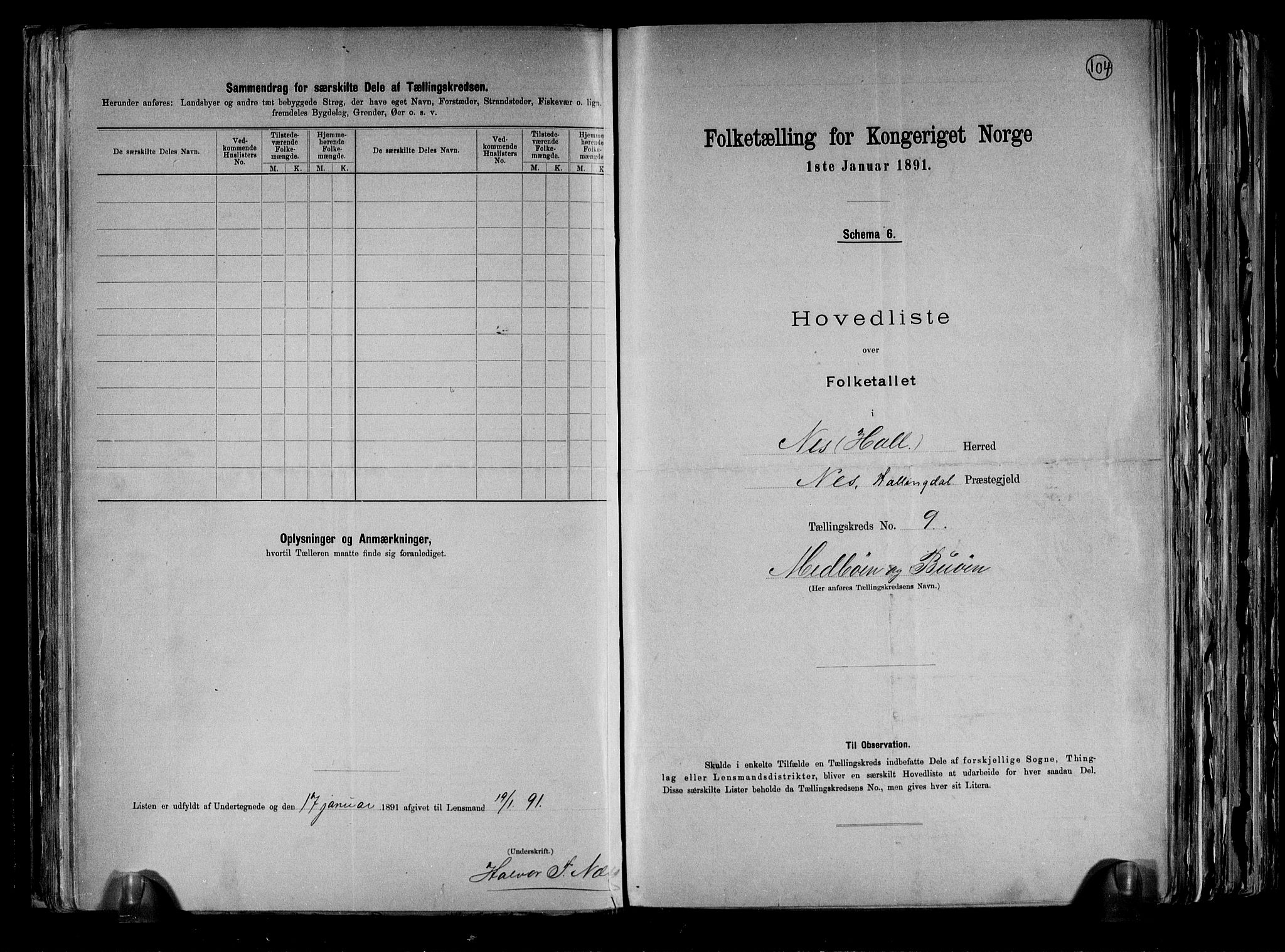 RA, 1891 census for 0616 Nes, 1891, p. 24