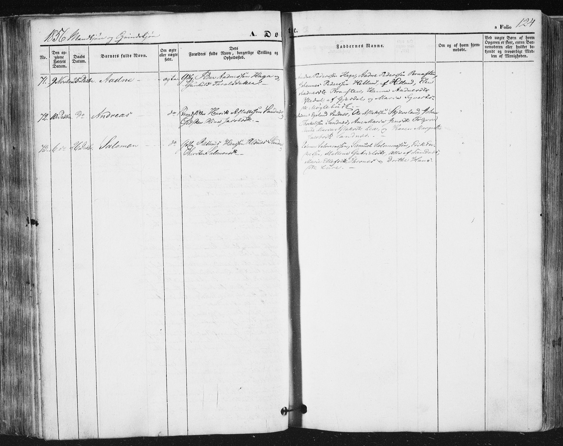 Høyland sokneprestkontor, AV/SAST-A-101799/001/30BA/L0008: Parish register (official) no. A 8, 1841-1856, p. 124