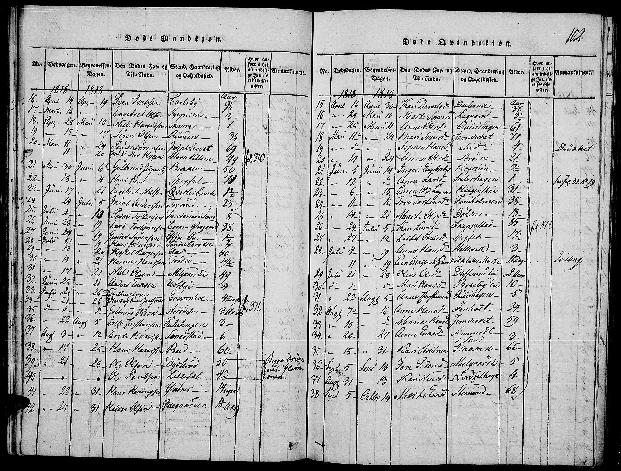 Strøm-Odalen prestekontor, SAH/PREST-028/H/Ha/Hab/L0001: Parish register (copy) no. 1, 1813-1825, p. 102