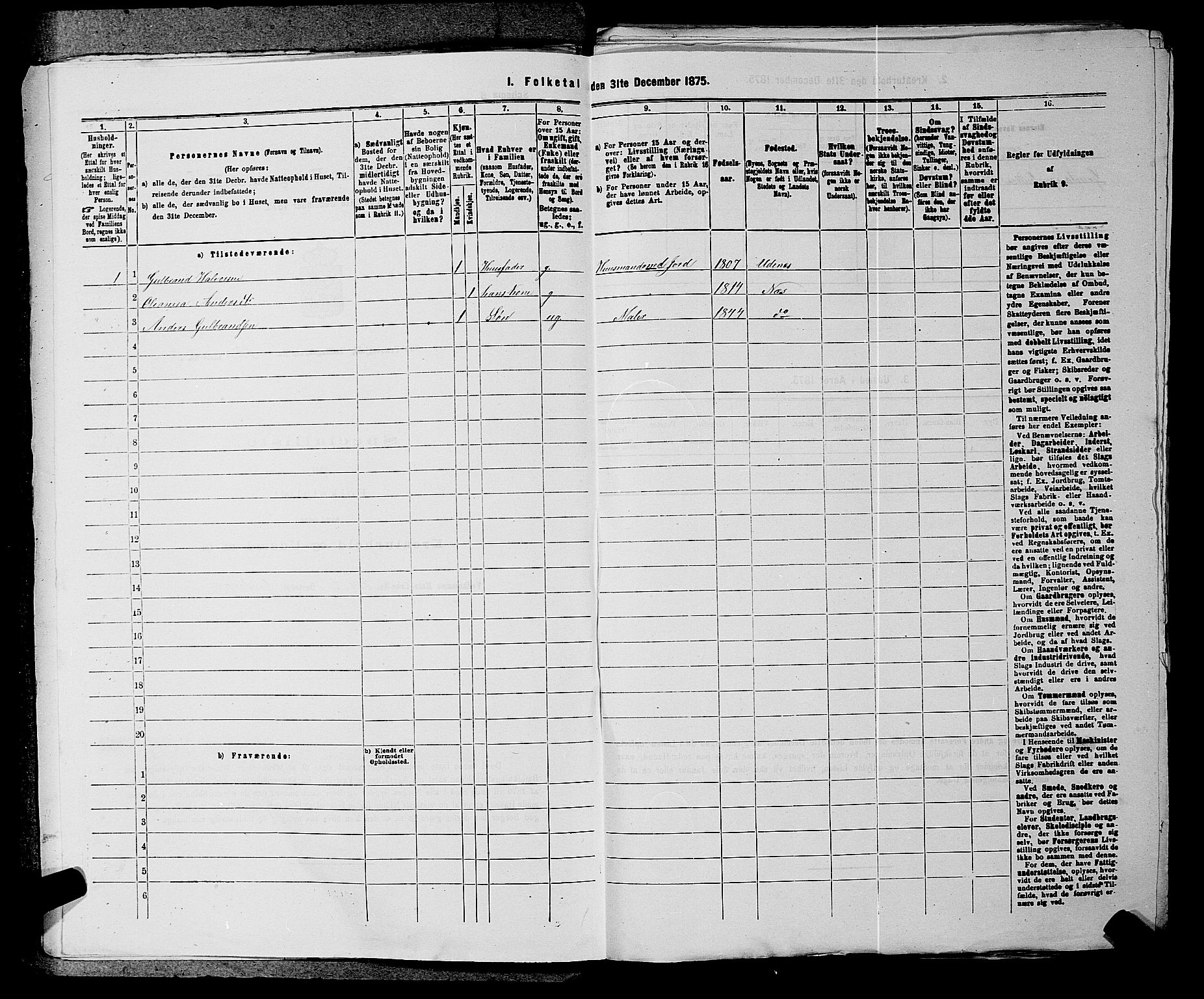 RA, 1875 census for 0236P Nes, 1875, p. 2042