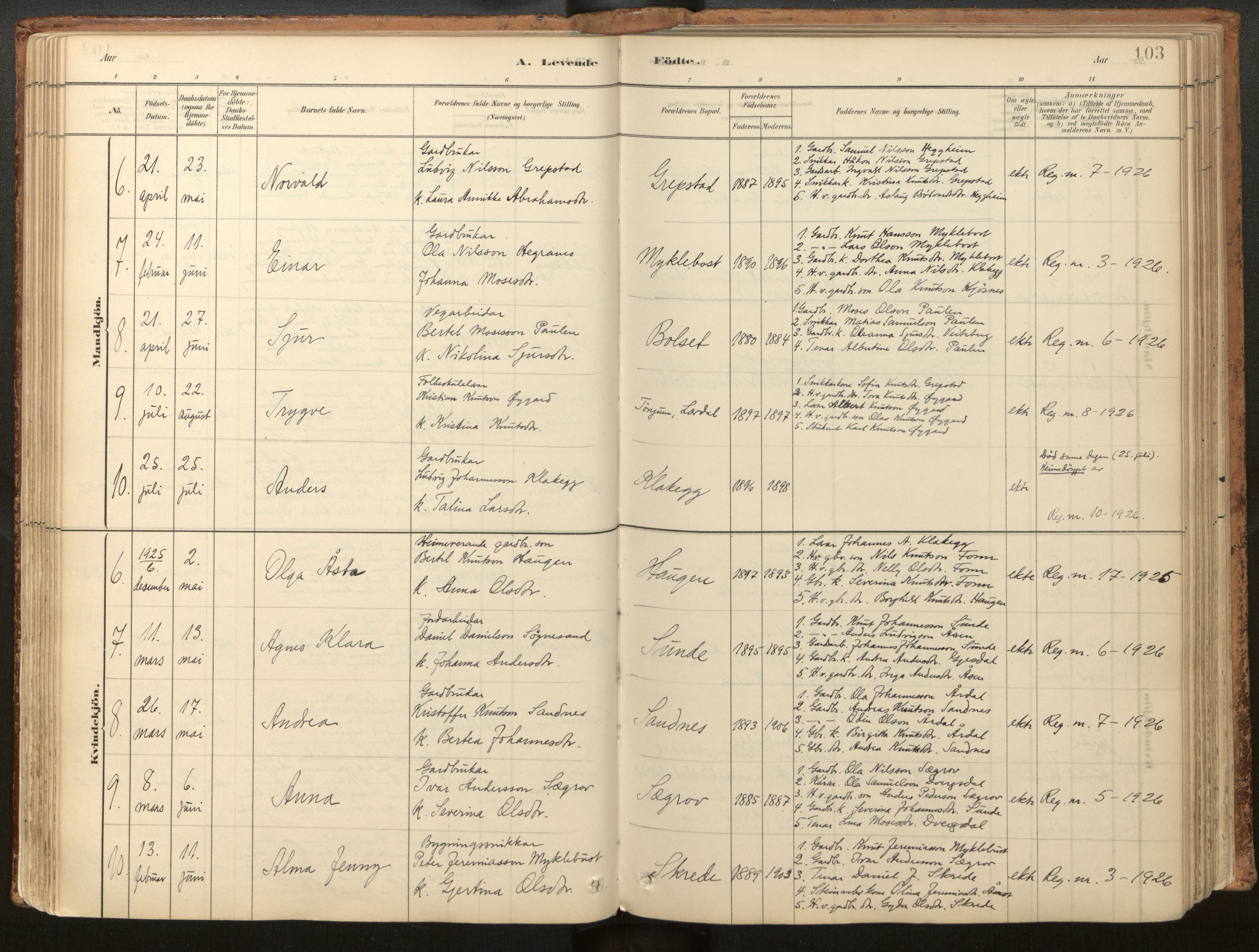Jølster sokneprestembete, SAB/A-80701/H/Haa/Haac/L0001: Parish register (official) no. C 1, 1882-1928, p. 103