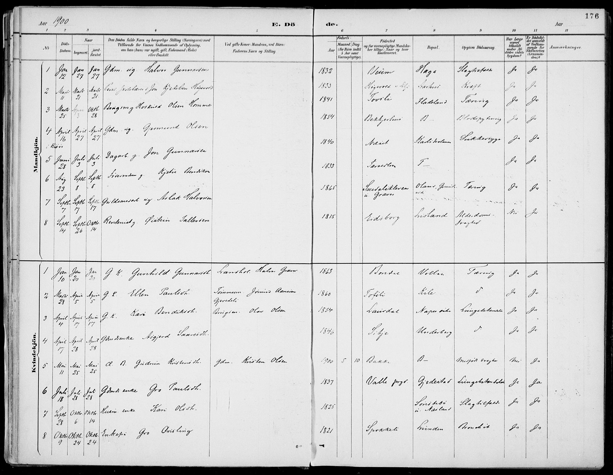 Fyresdal kirkebøker, SAKO/A-263/F/Fa/L0007: Parish register (official) no. I 7, 1887-1914, p. 176