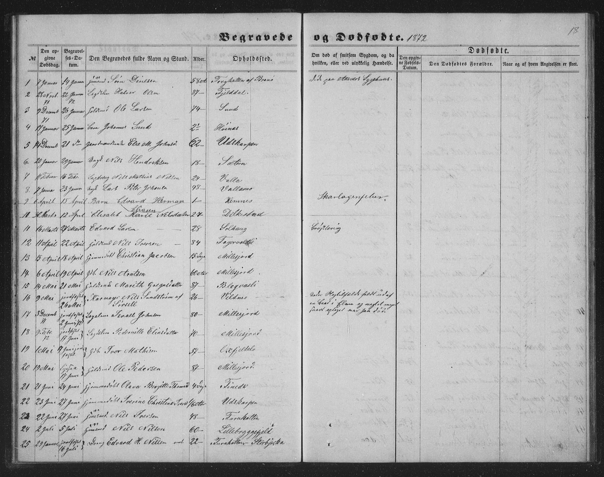 Ministerialprotokoller, klokkerbøker og fødselsregistre - Nordland, AV/SAT-A-1459/825/L0368: Parish register (copy) no. 825C05, 1863-1887, p. 18