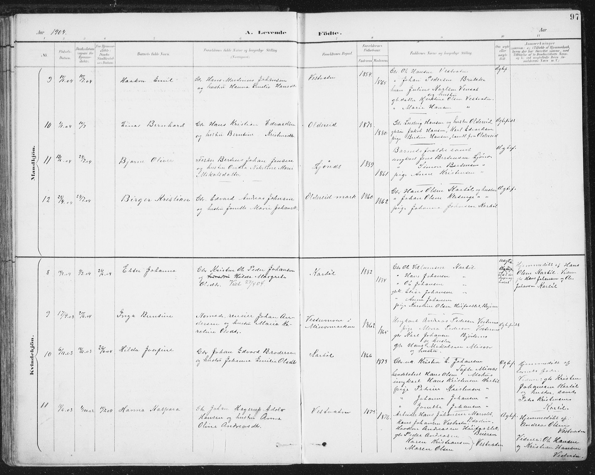 Ministerialprotokoller, klokkerbøker og fødselsregistre - Nordland, AV/SAT-A-1459/852/L0741: Parish register (official) no. 852A11, 1894-1917, p. 97