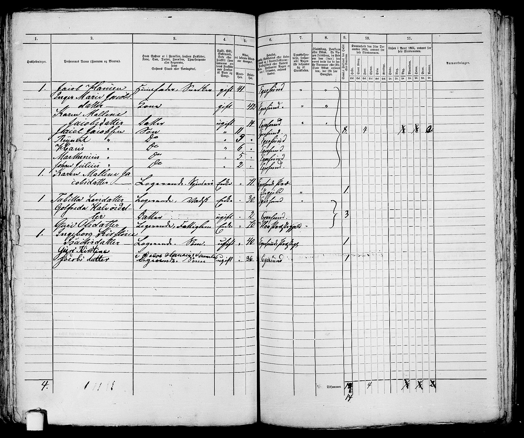 RA, 1865 census for Eigersund parish, Egersund town, 1865, p. 164