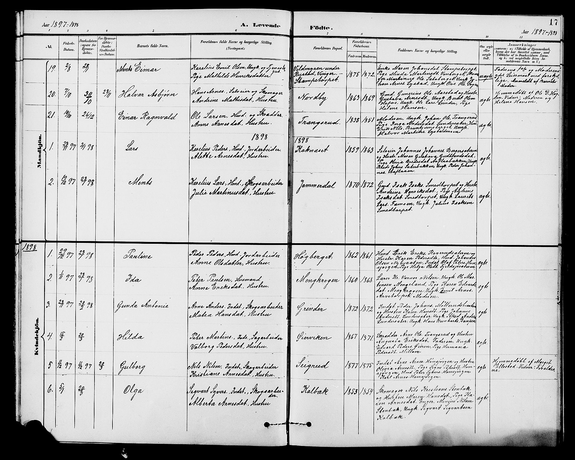 Brandval prestekontor, SAH/PREST-034/H/Ha/Hab/L0001: Parish register (copy) no. 1, 1895-1910, p. 17