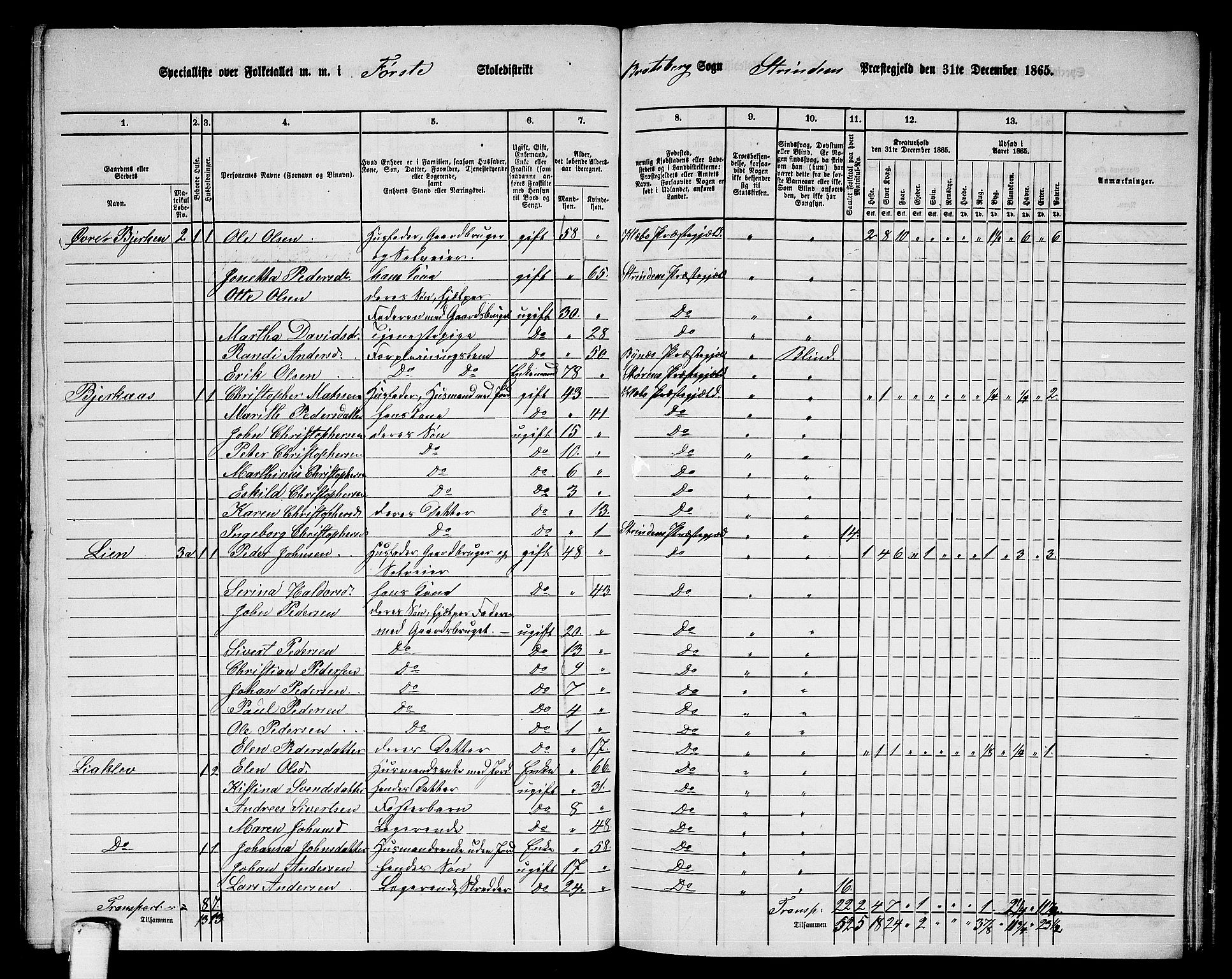 RA, 1865 census for Strinda, 1865, p. 162