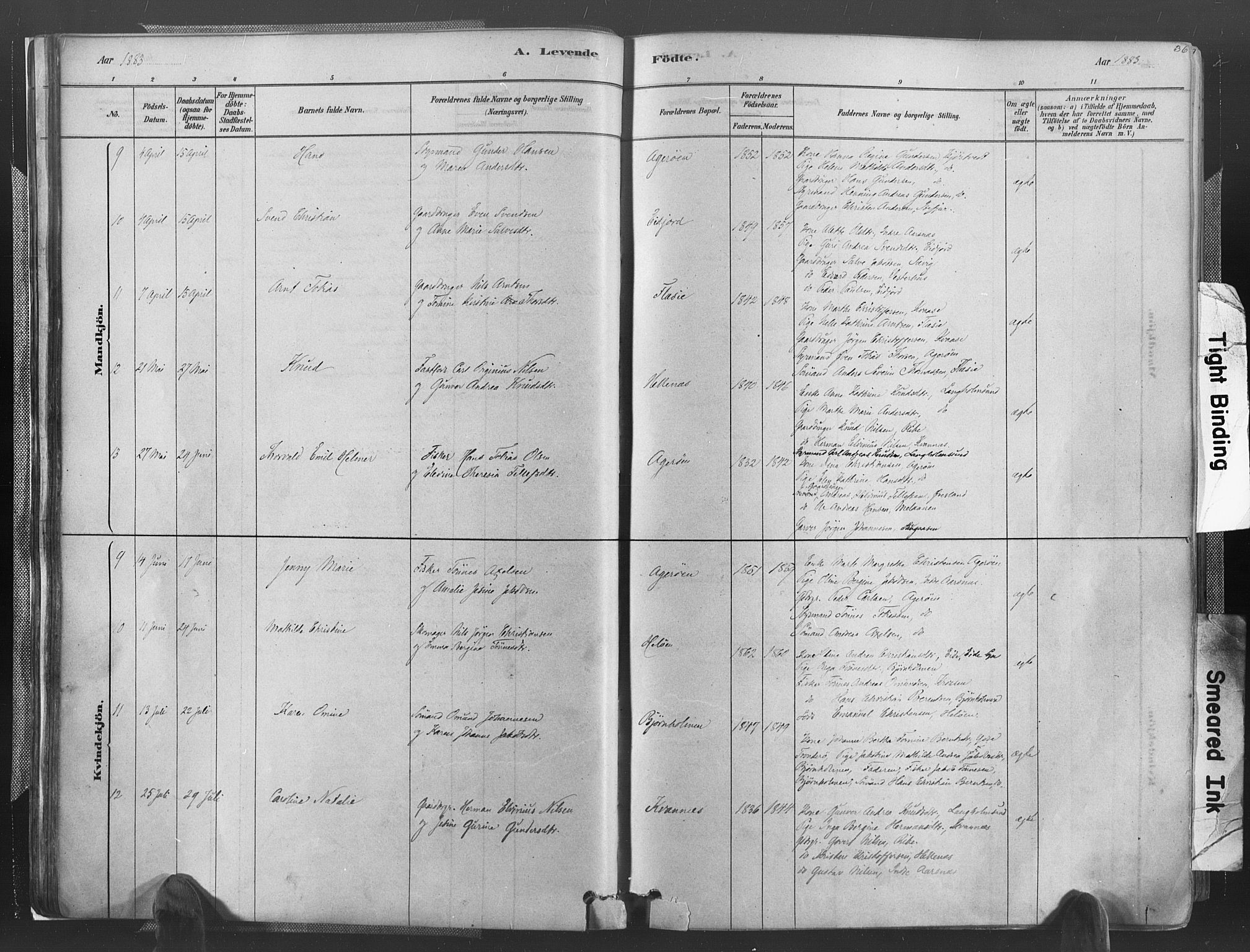 Høvåg sokneprestkontor, AV/SAK-1111-0025/F/Fa/L0005: Parish register (official) no. A 5, 1878-1893, p. 36