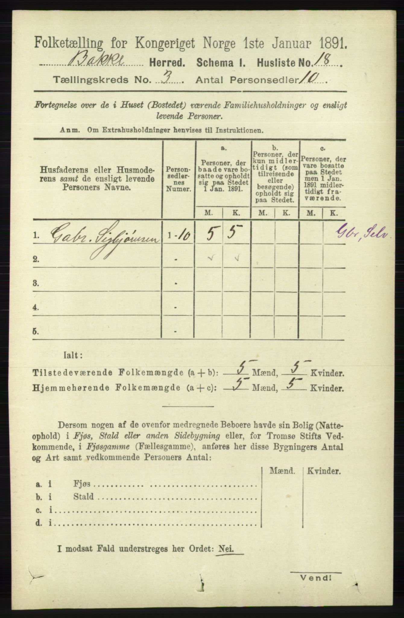 RA, 1891 census for 1045 Bakke, 1891, p. 406