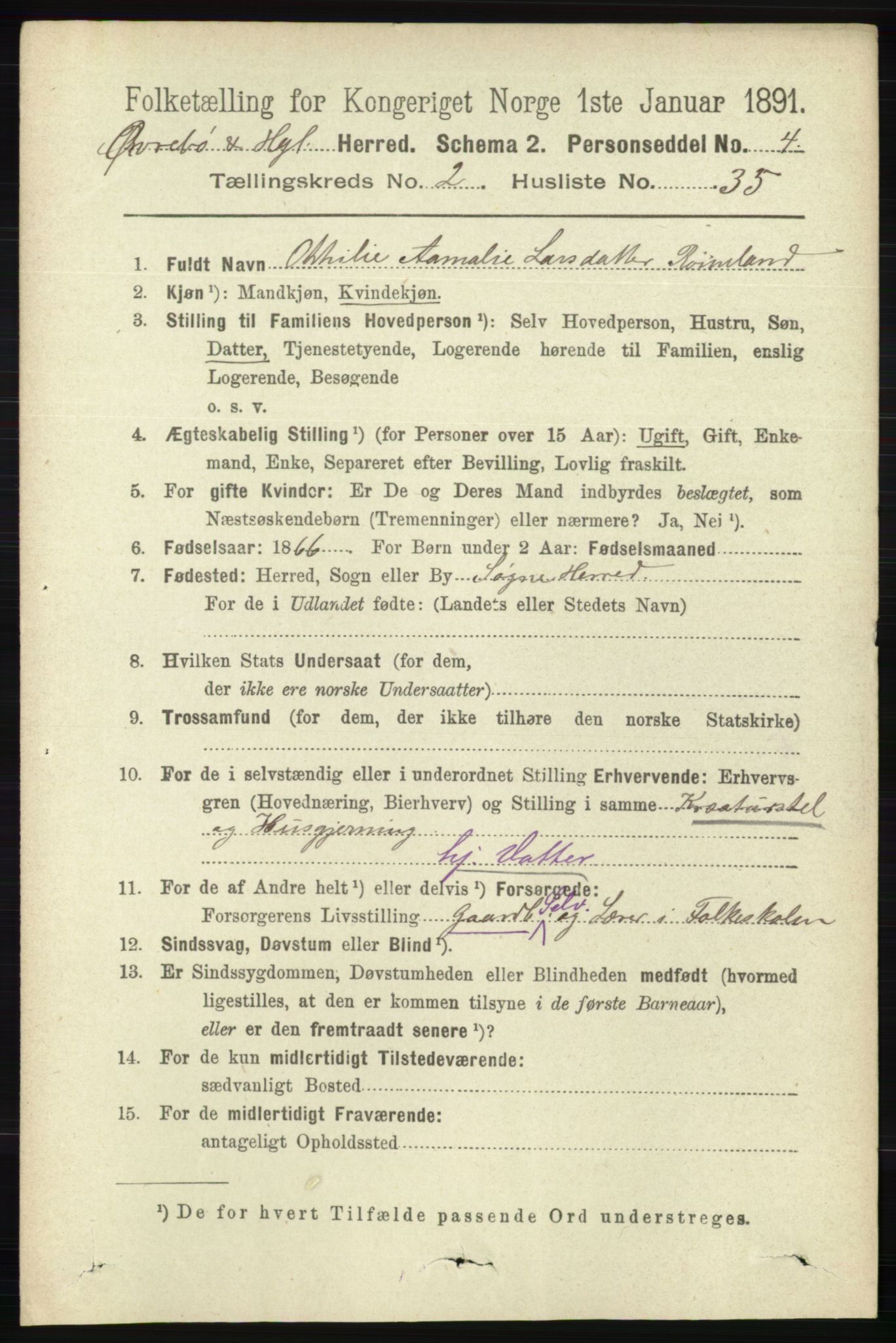 RA, 1891 census for 1016 Øvrebø og Hægeland, 1891, p. 494