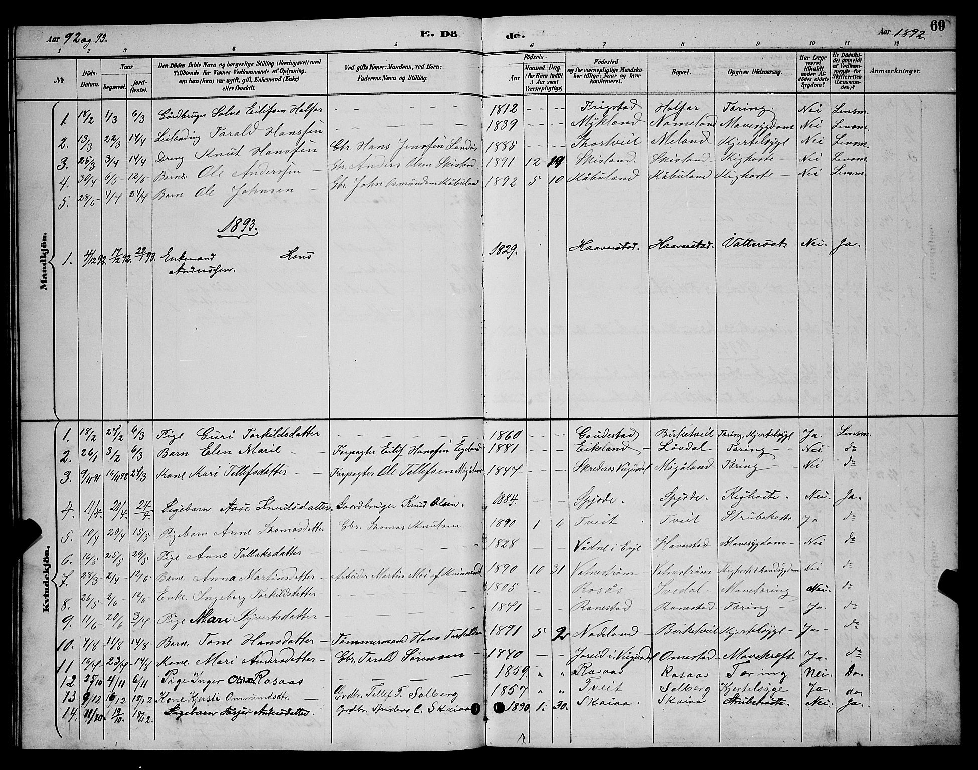 Evje sokneprestkontor, AV/SAK-1111-0008/F/Fb/Fbc/L0004: Parish register (copy) no. B 4, 1890-1900, p. 69