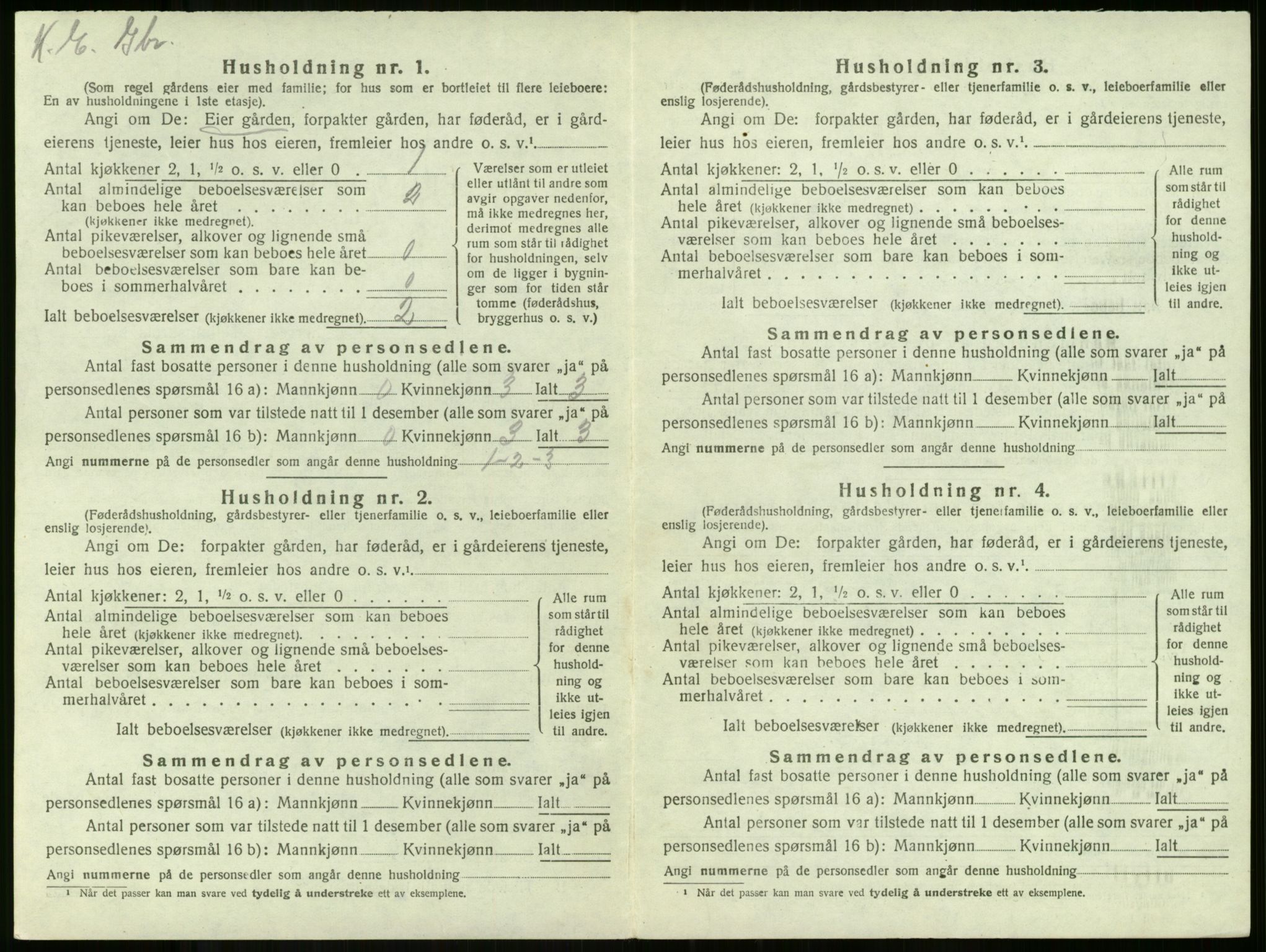 SAKO, 1920 census for Borre, 1920, p. 966