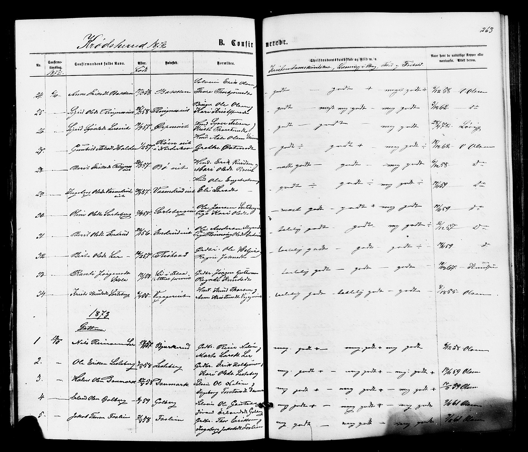 Sigdal kirkebøker, AV/SAKO-A-245/F/Fa/L0010: Parish register (official) no. I 10 /2, 1872-1878, p. 263