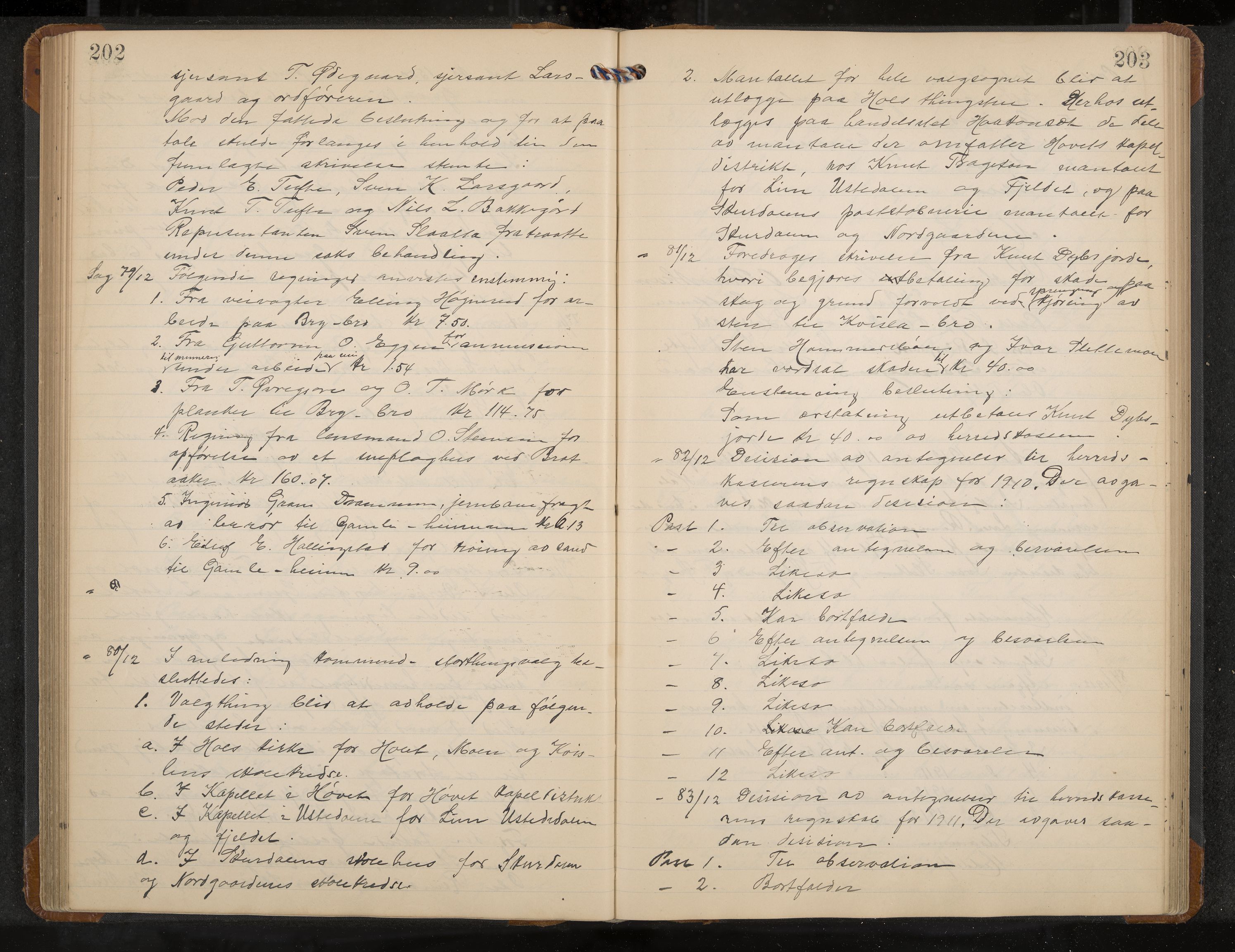 Hol formannskap og sentraladministrasjon, IKAK/0620021-1/A/L0005: Møtebok, 1909-1915, p. 202-203