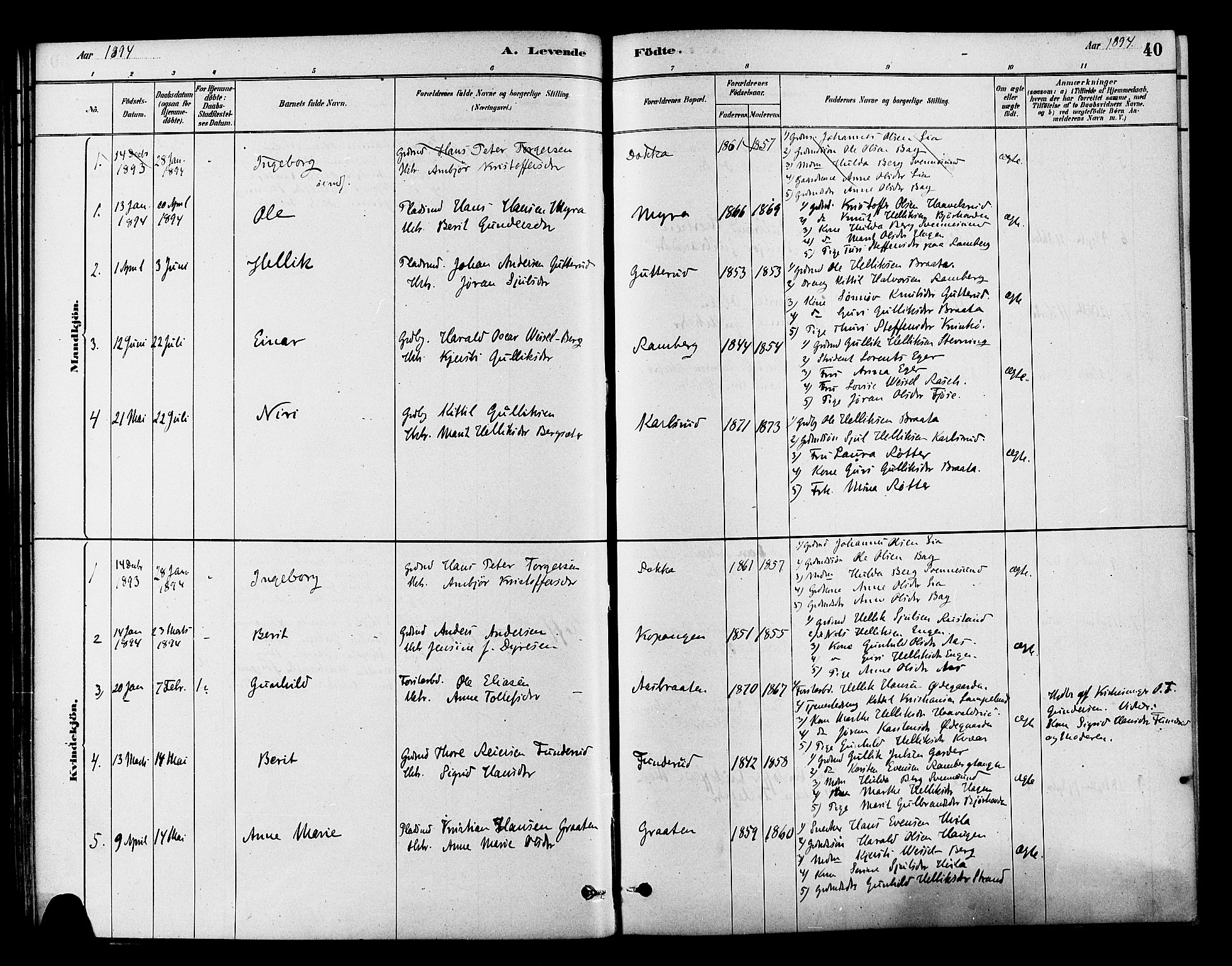Flesberg kirkebøker, AV/SAKO-A-18/F/Fb/L0001: Parish register (official) no. II 1, 1879-1907, p. 40