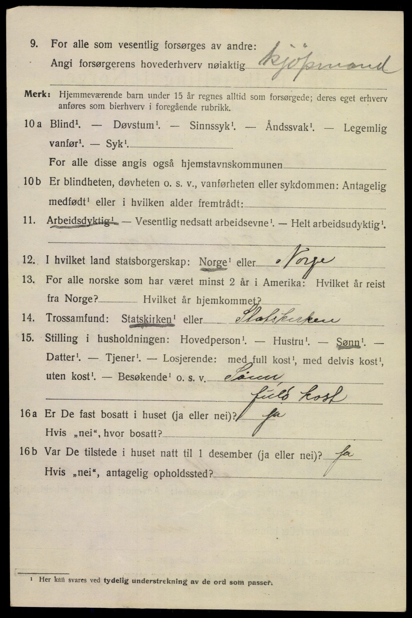 SAKO, 1920 census for Kragerø, 1920, p. 5334