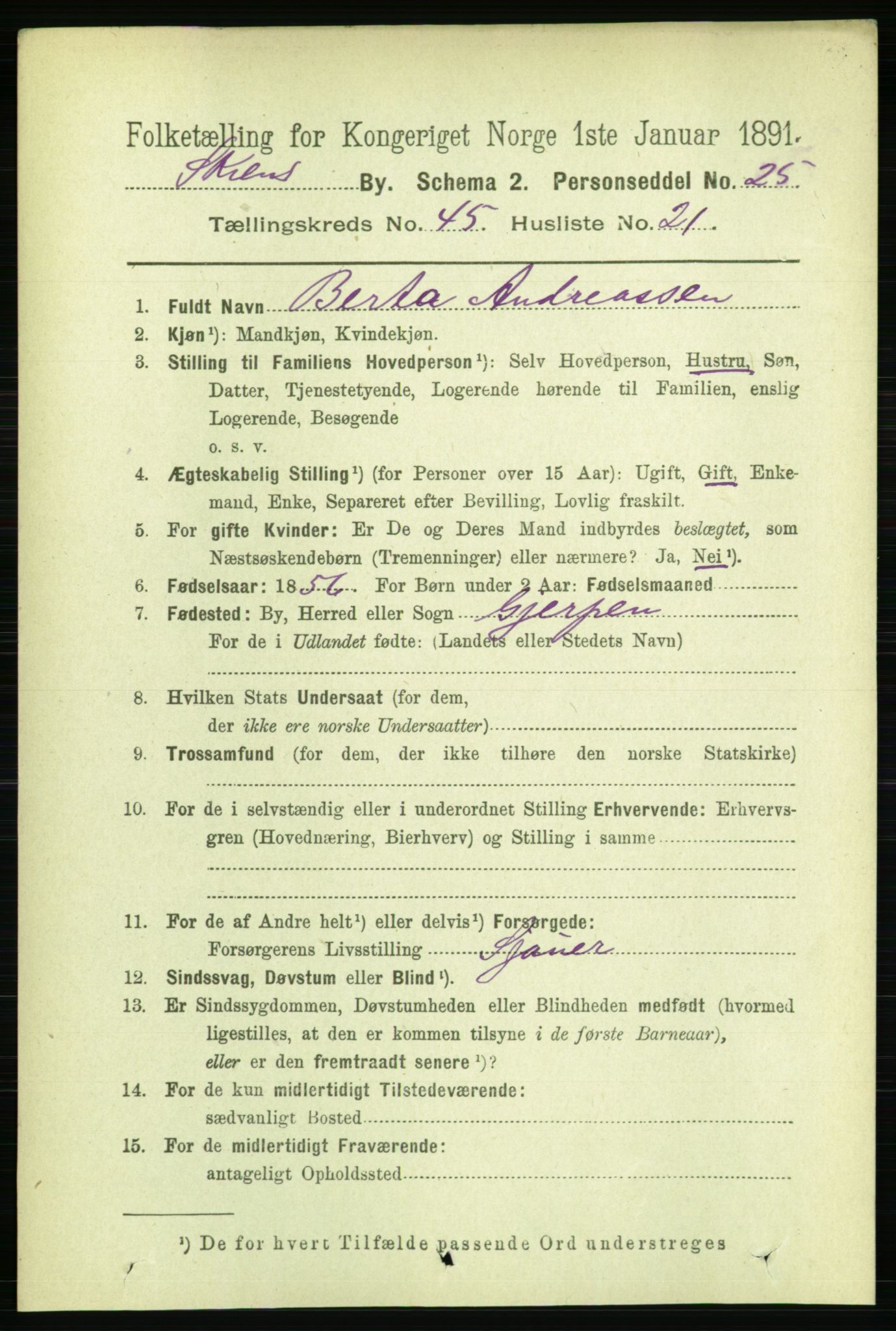 RA, 1891 census for 0806 Skien, 1891, p. 9128