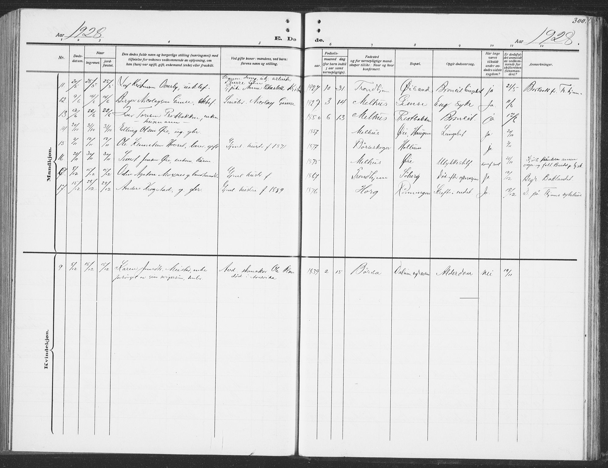 Ministerialprotokoller, klokkerbøker og fødselsregistre - Sør-Trøndelag, SAT/A-1456/691/L1095: Parish register (copy) no. 691C06, 1912-1933, p. 300