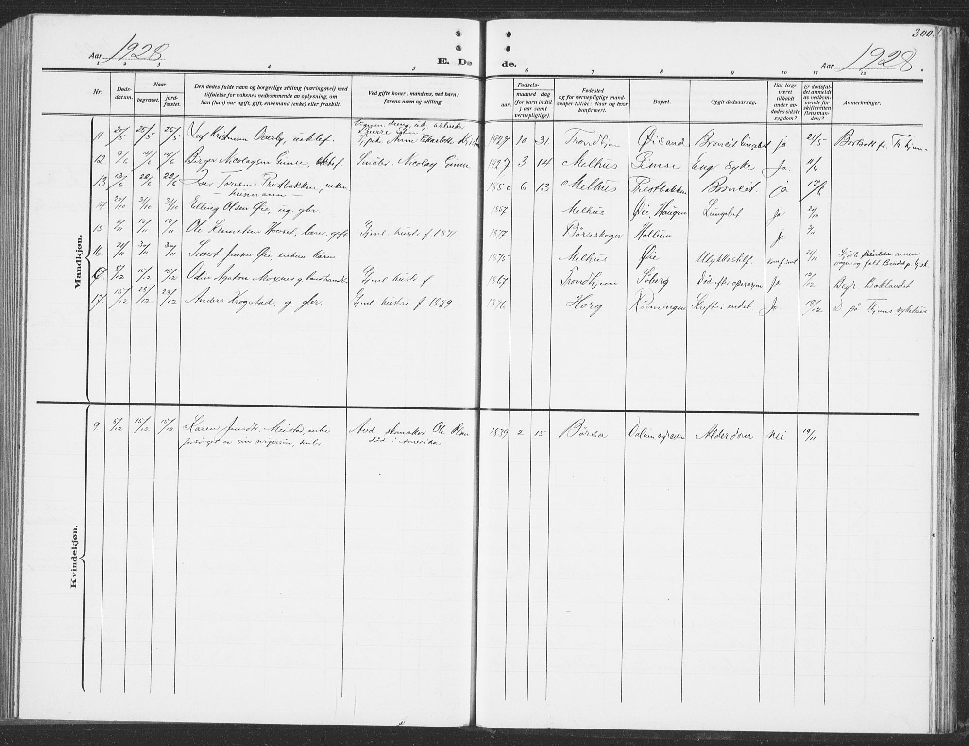 Ministerialprotokoller, klokkerbøker og fødselsregistre - Sør-Trøndelag, AV/SAT-A-1456/691/L1095: Parish register (copy) no. 691C06, 1912-1933, p. 300