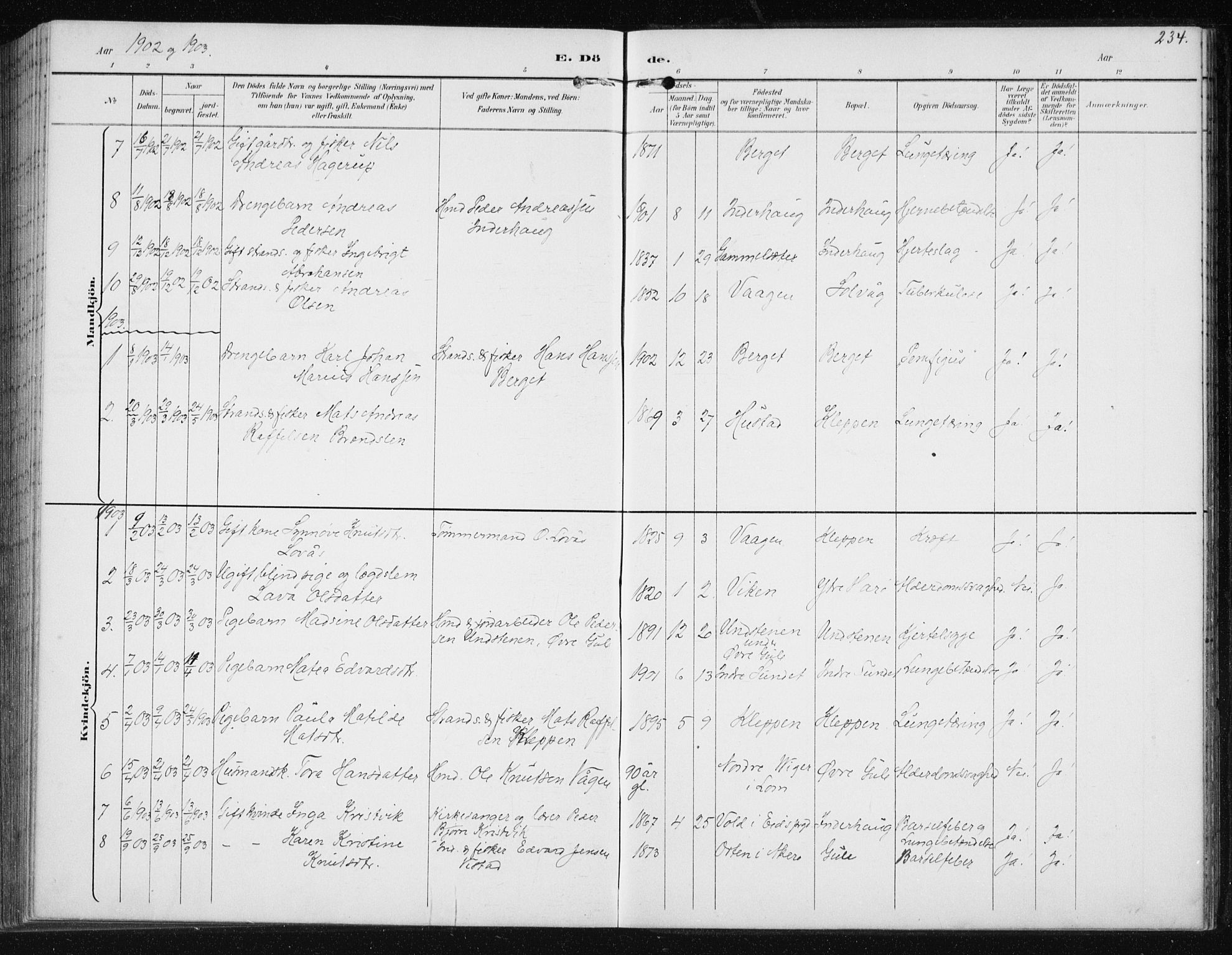 Ministerialprotokoller, klokkerbøker og fødselsregistre - Møre og Romsdal, AV/SAT-A-1454/566/L0773: Parish register (copy) no. 566C02, 1892-1909, p. 234