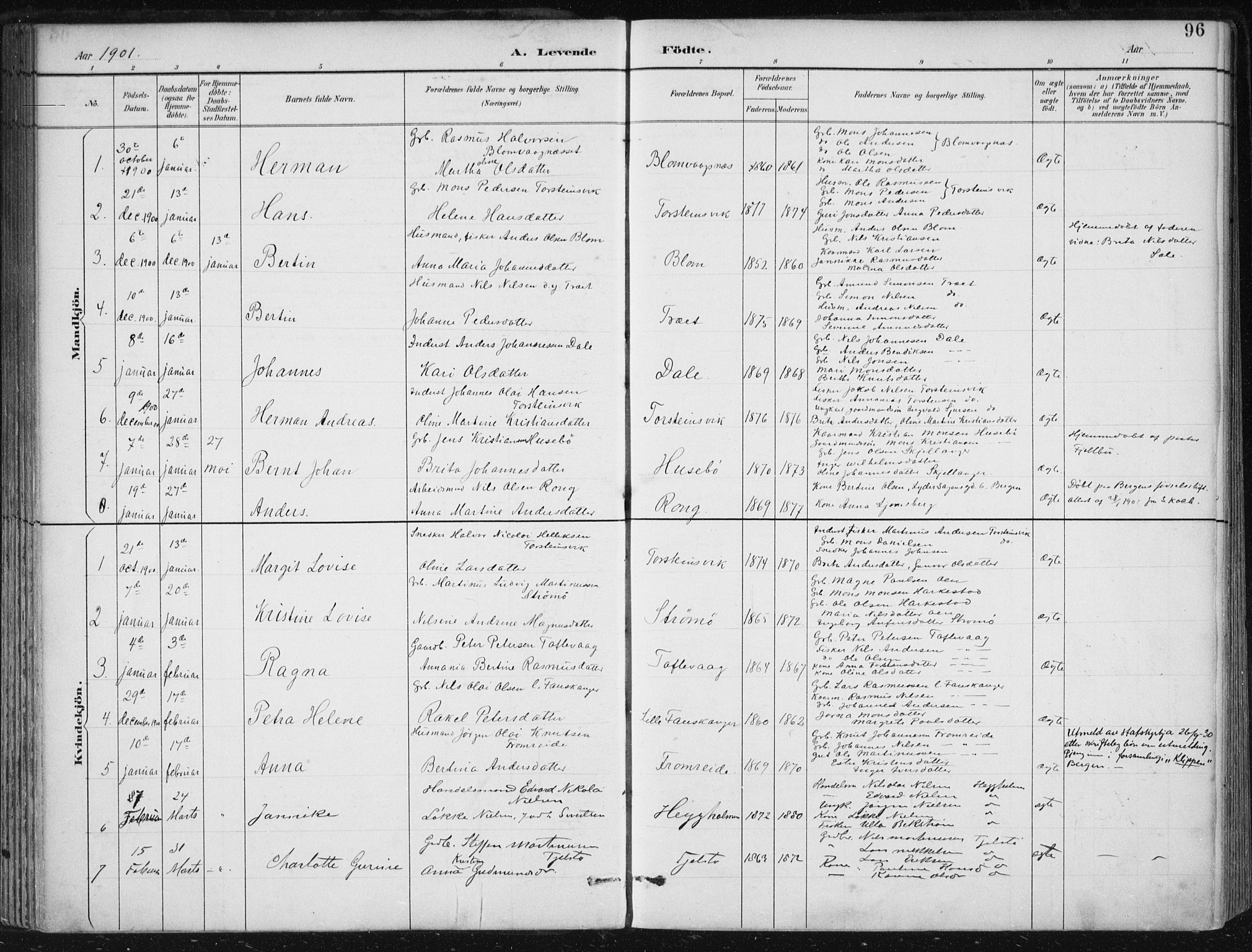 Herdla Sokneprestembete, SAB/A-75701/H/Haa: Parish register (official) no. A 4, 1891-1905, p. 96