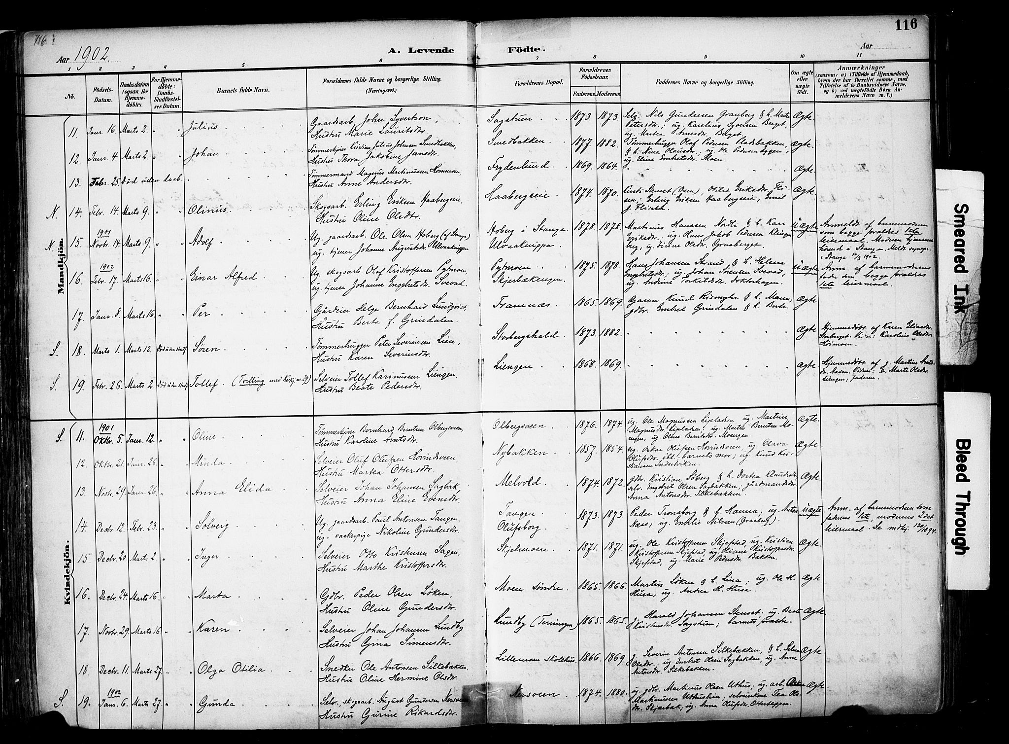 Elverum prestekontor, AV/SAH-PREST-044/H/Ha/Haa/L0014: Parish register (official) no. 14, 1891-1909, p. 116
