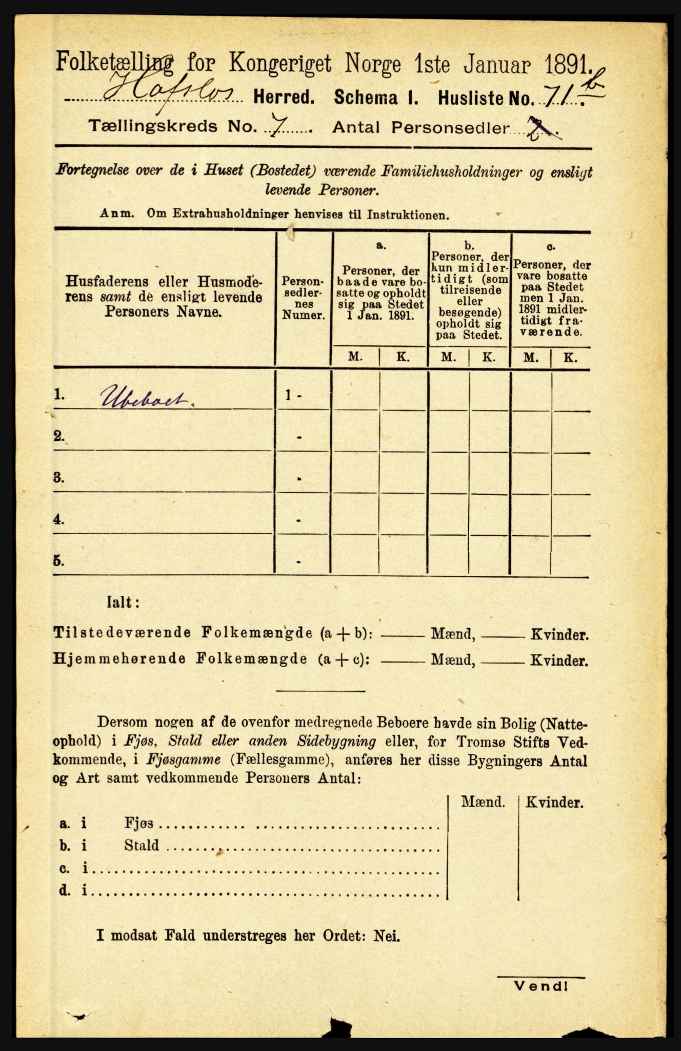 RA, 1891 census for 1425 Hafslo, 1891, p. 2741