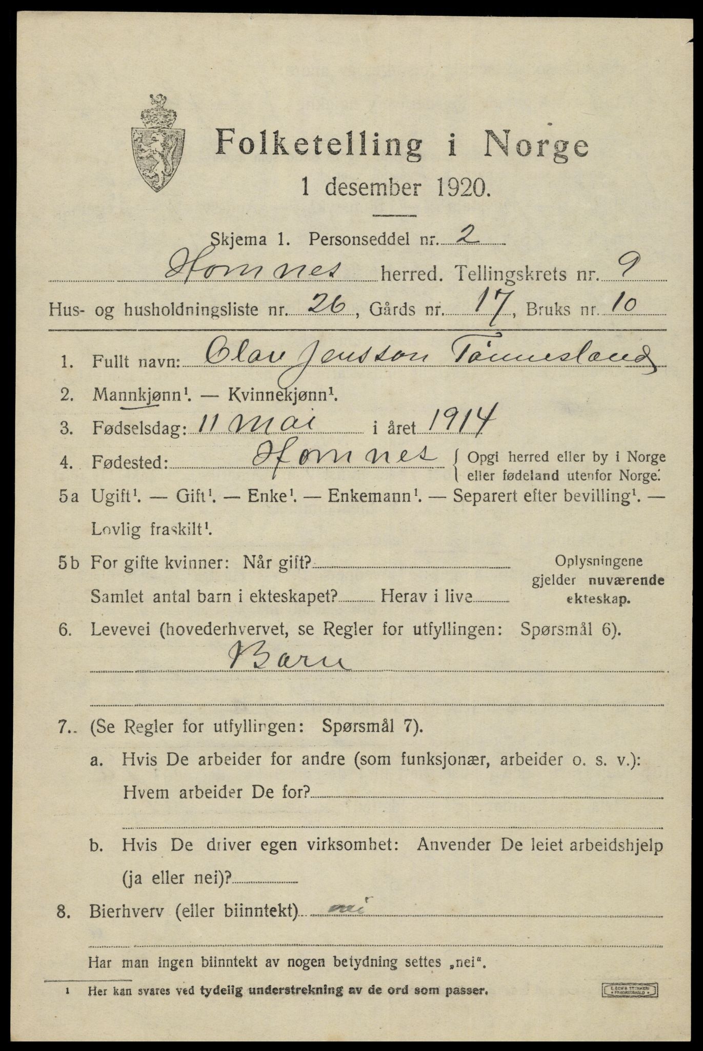 SAK, 1920 census for Hornnes, 1920, p. 2499