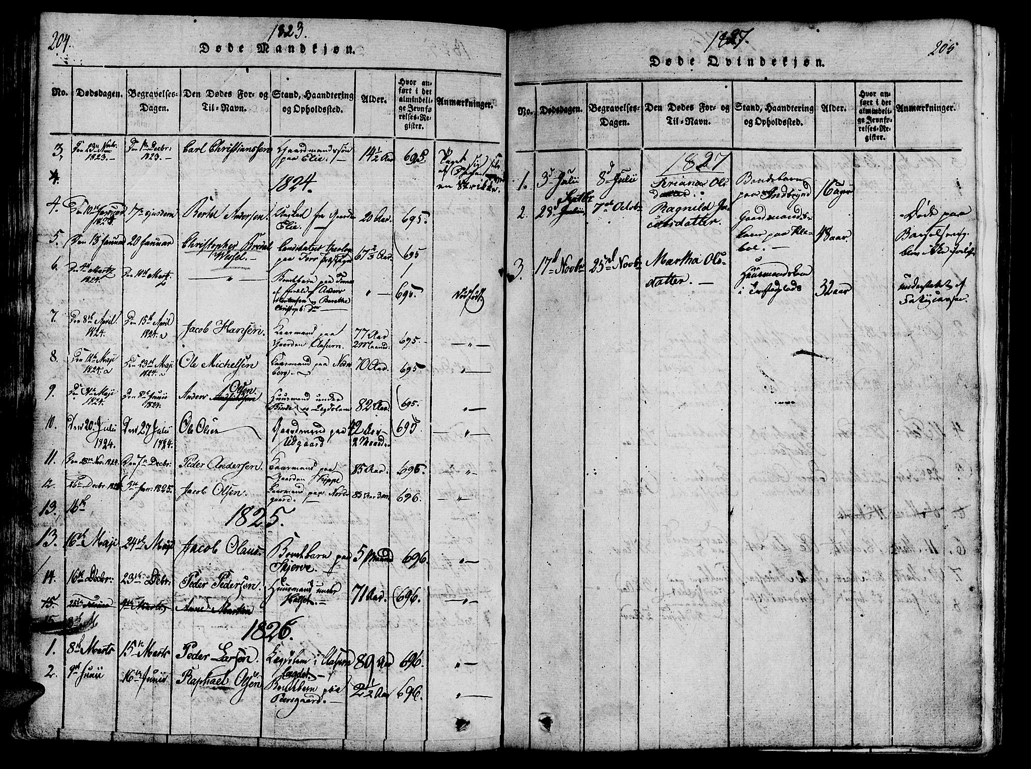 Ministerialprotokoller, klokkerbøker og fødselsregistre - Nord-Trøndelag, SAT/A-1458/746/L0441: Parish register (official) no. 746A03 /1, 1816-1827, p. 204-205