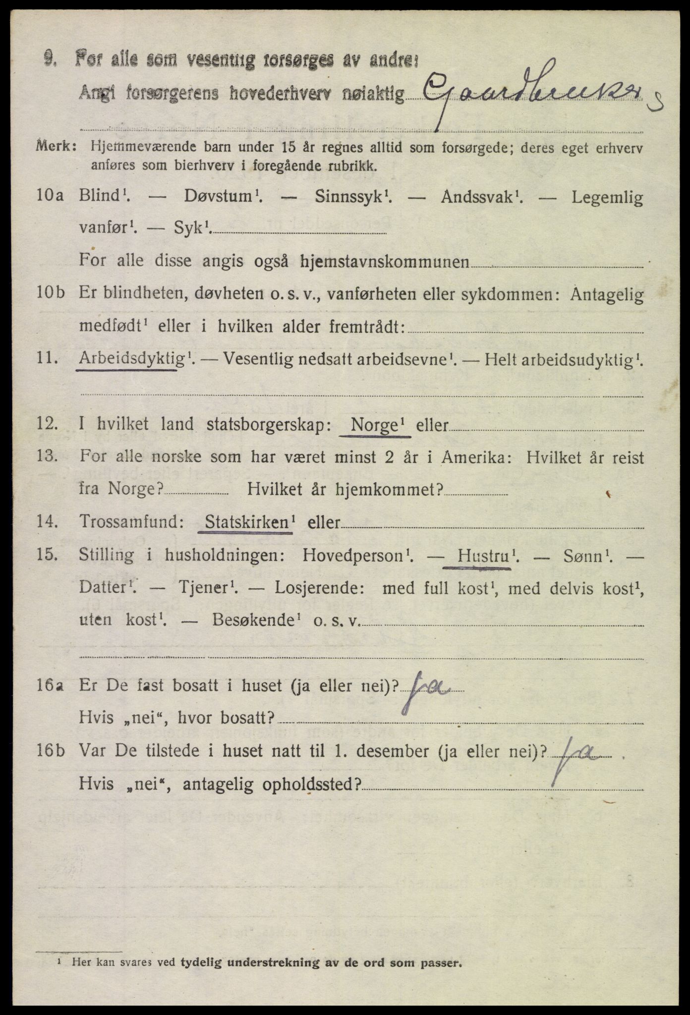 SAH, 1920 census for Vestre Slidre, 1920, p. 997